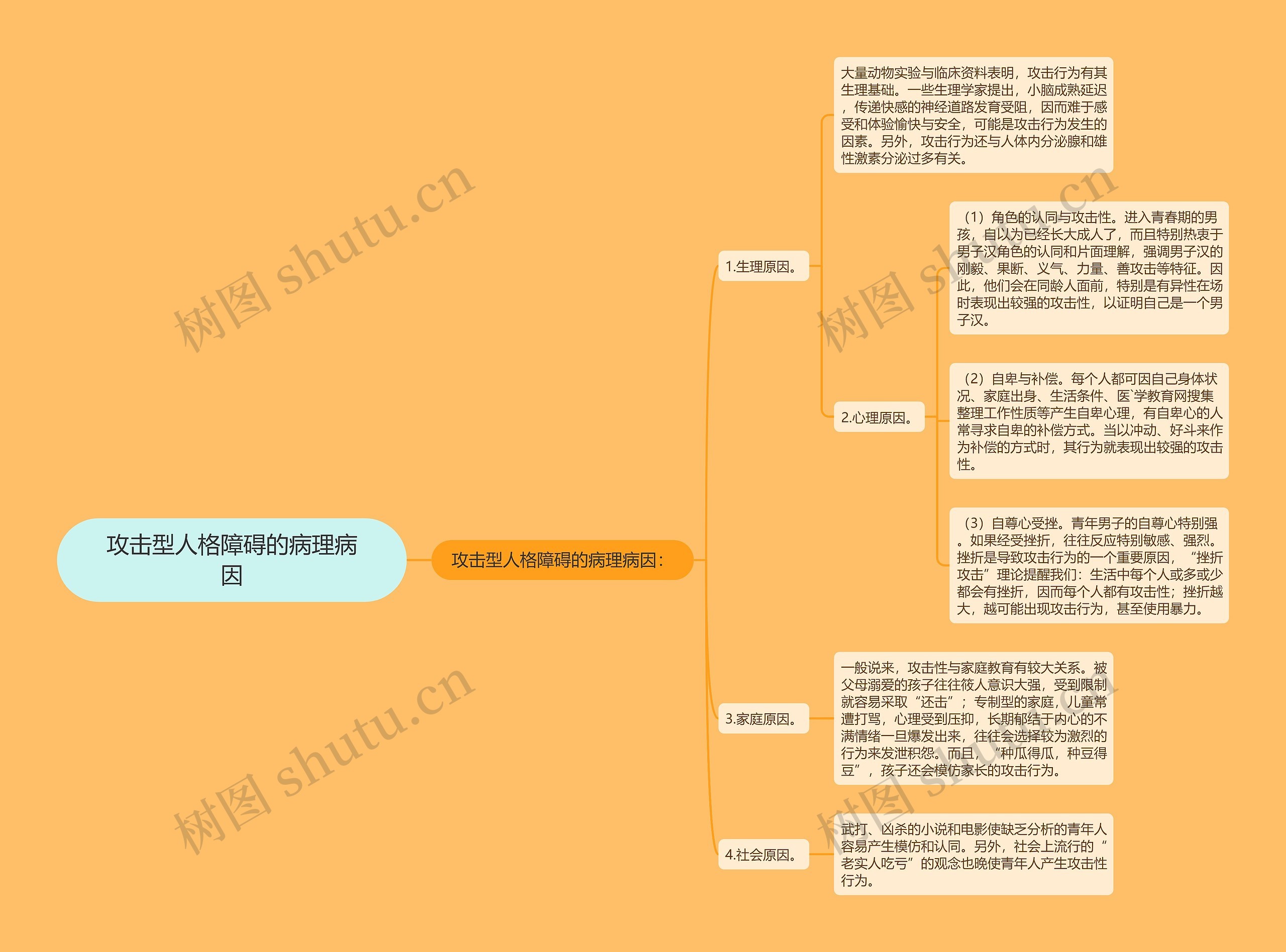 攻击型人格障碍的病理病因思维导图