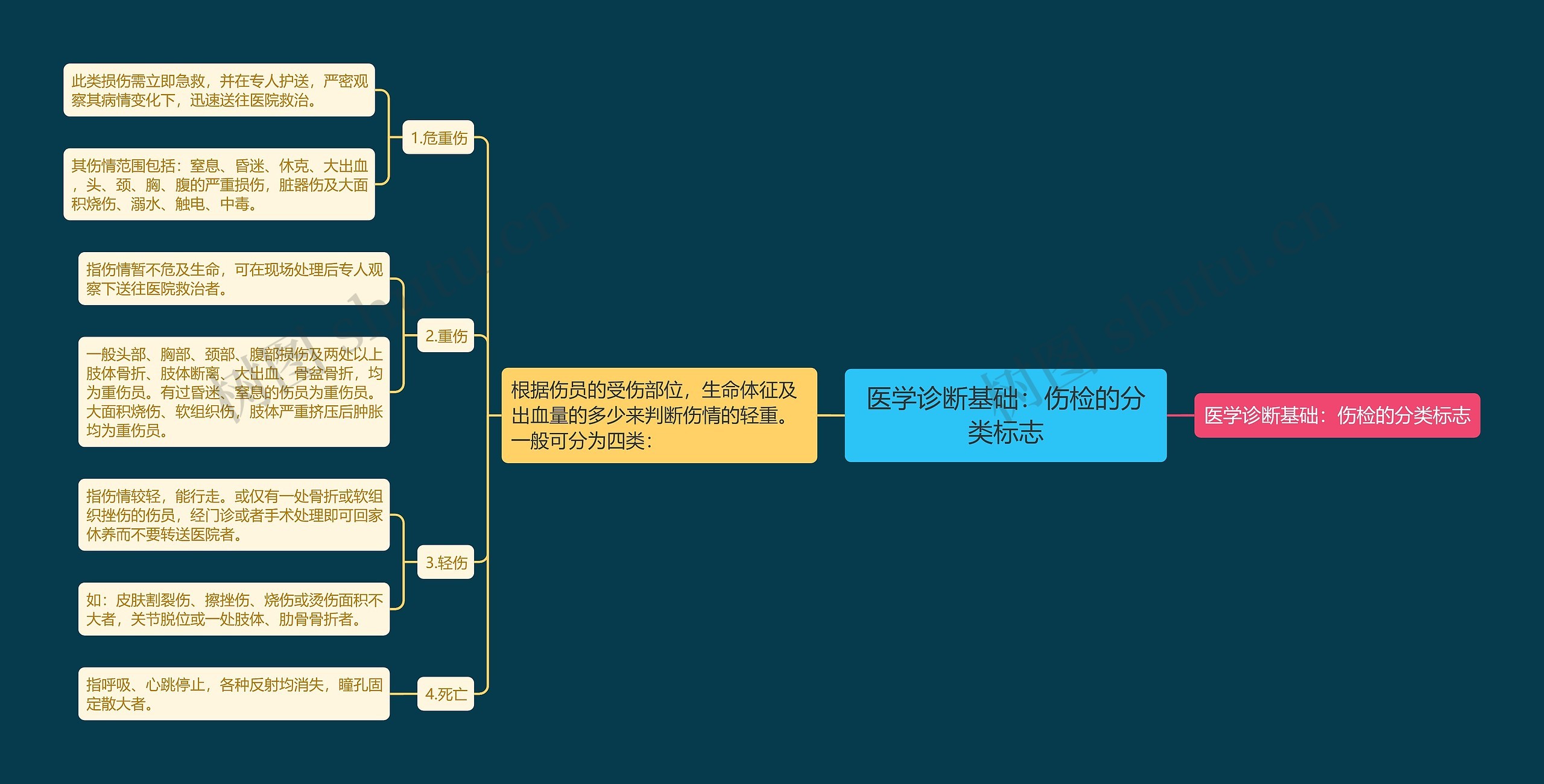 医学诊断基础：伤检的分类标志