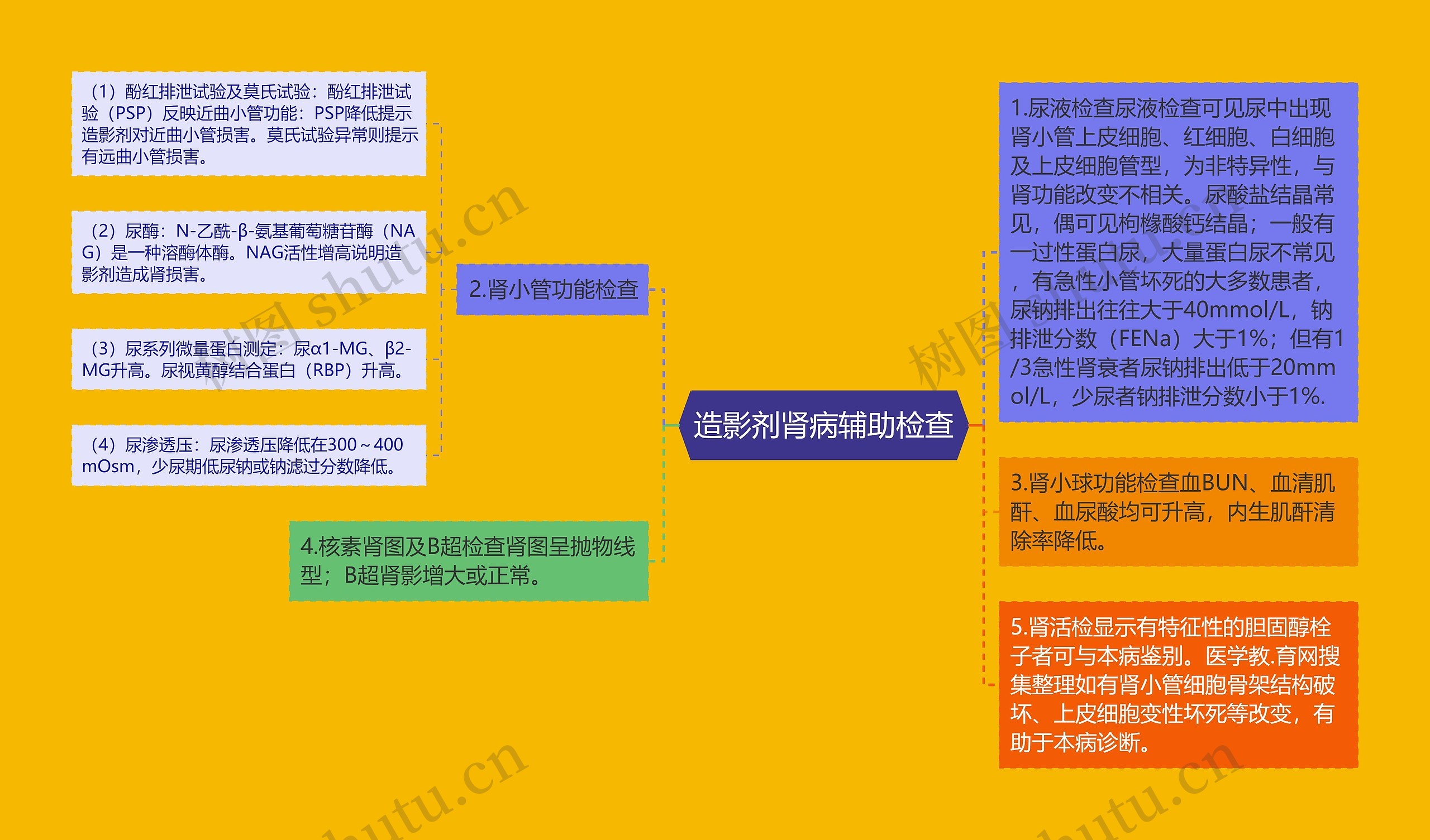 造影剂肾病辅助检查