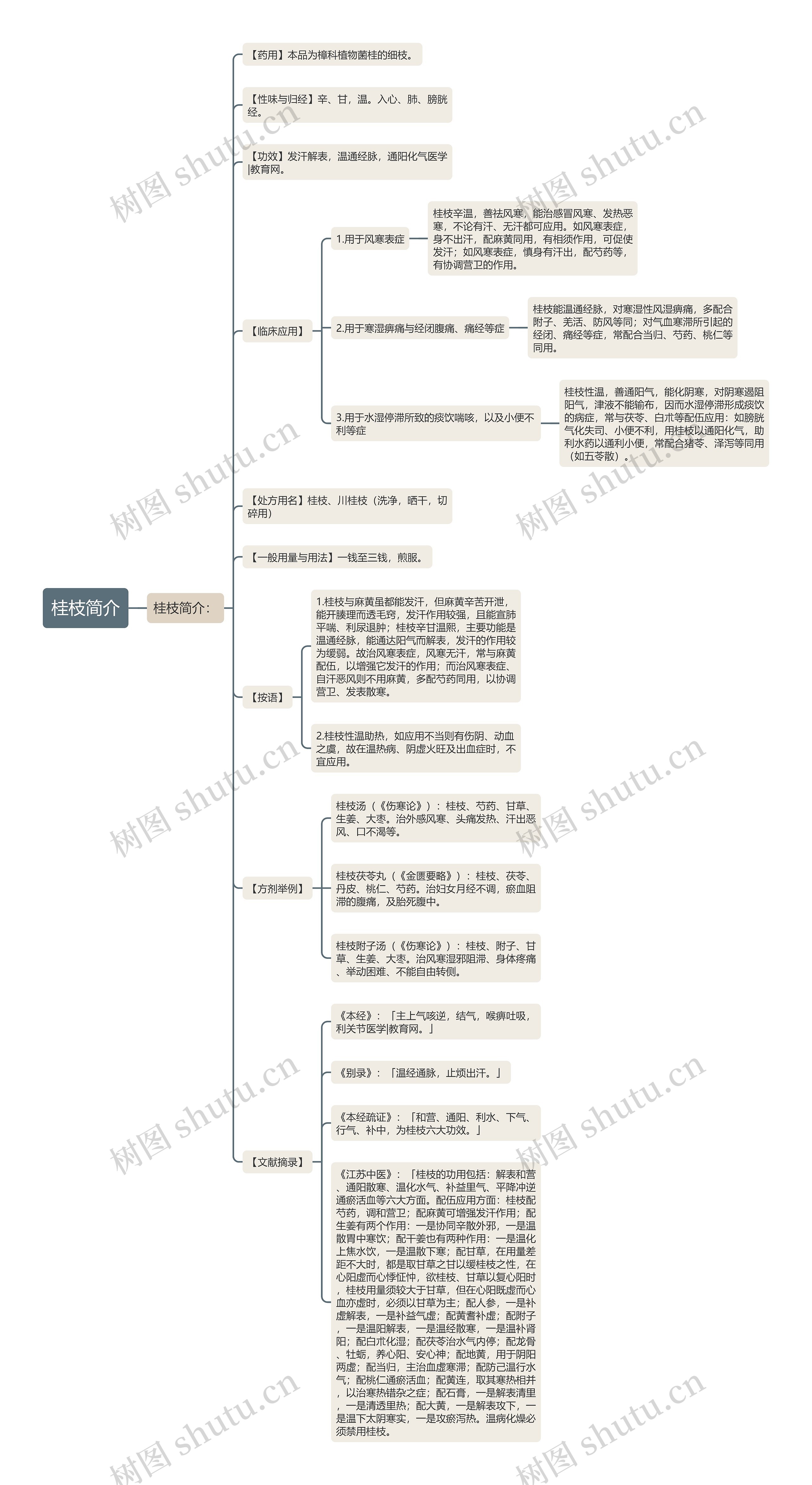 桂枝简介思维导图