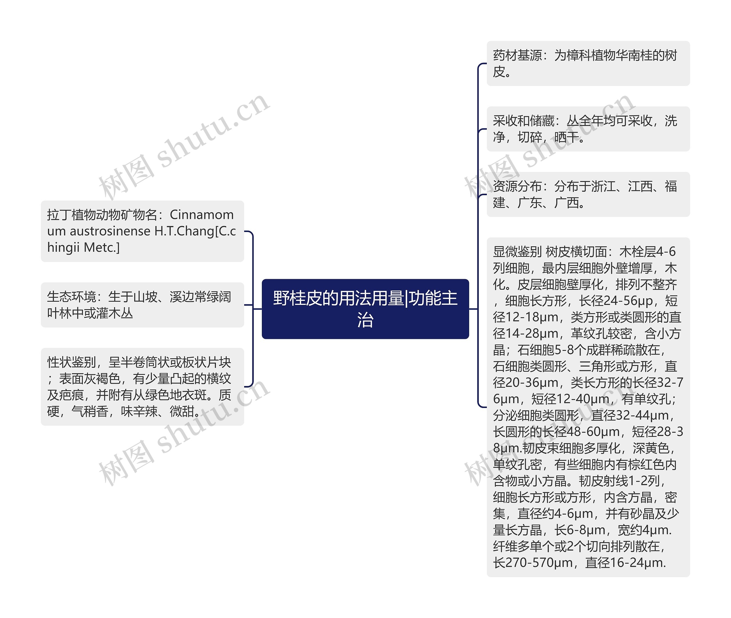 野桂皮的用法用量|功能主治思维导图