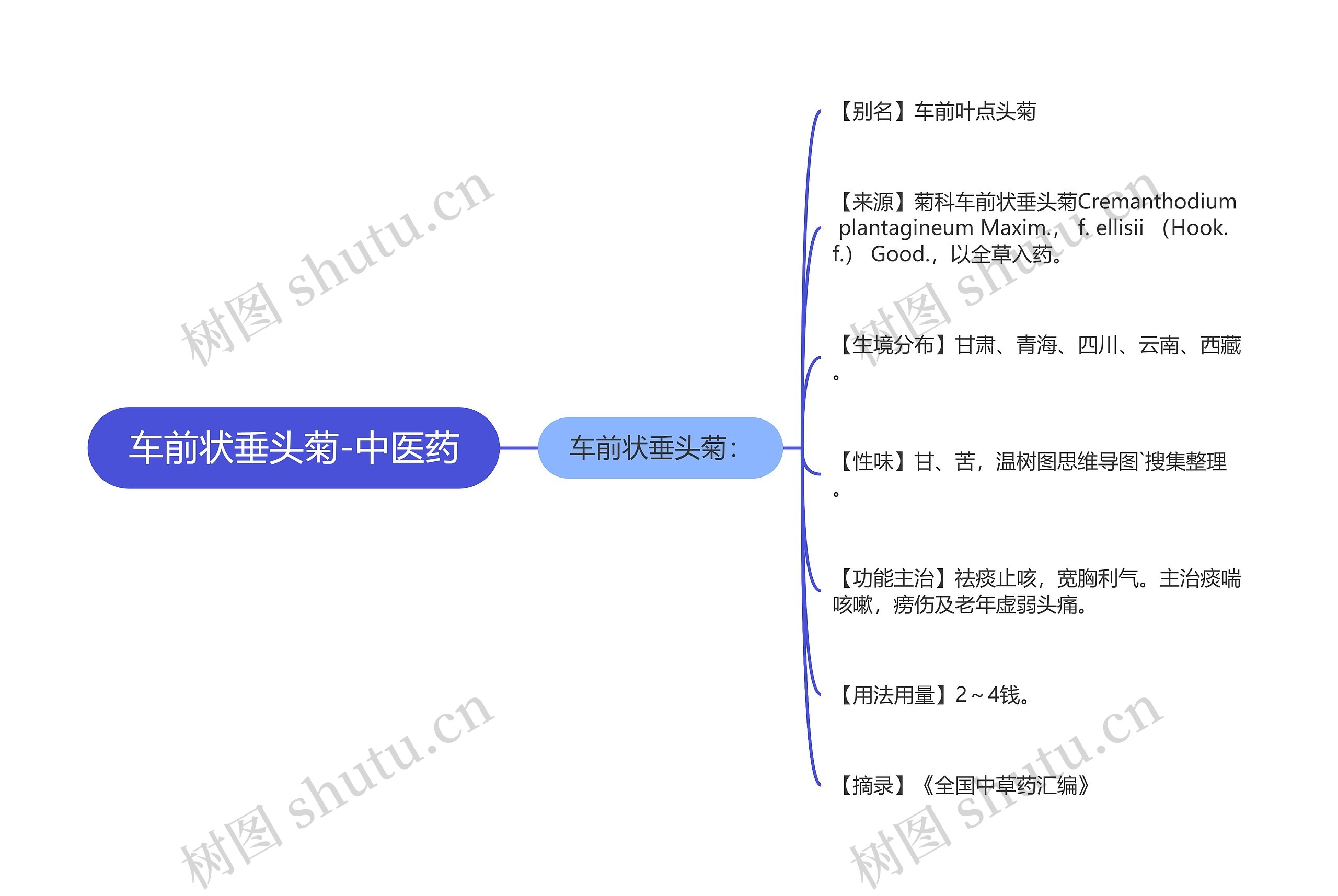 车前状垂头菊-中医药 车前状垂头菊-中医药