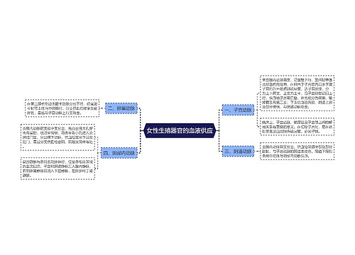 女性生殖器官的血液供应