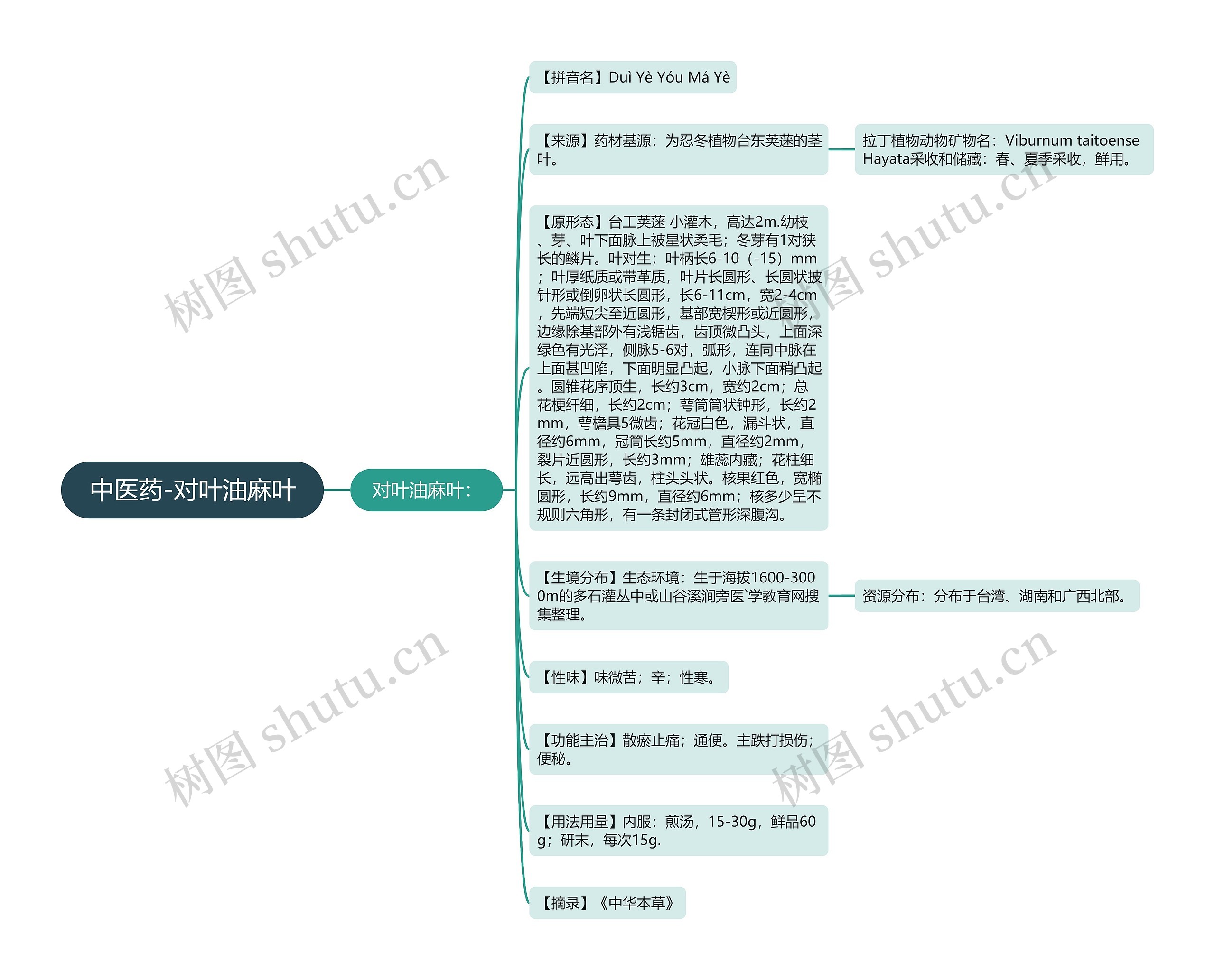 中医药-对叶油麻叶思维导图