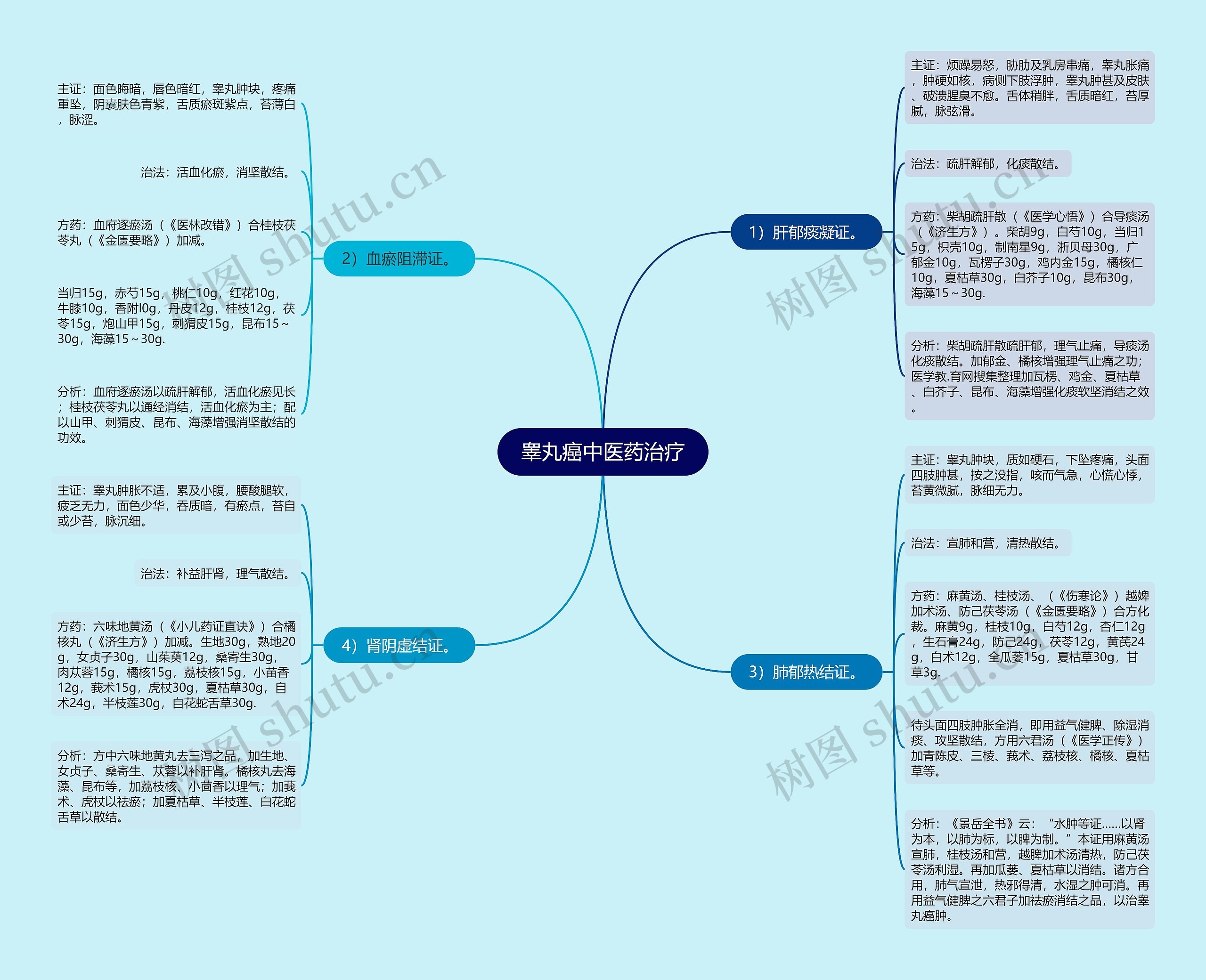 睾丸癌中医药治疗思维导图