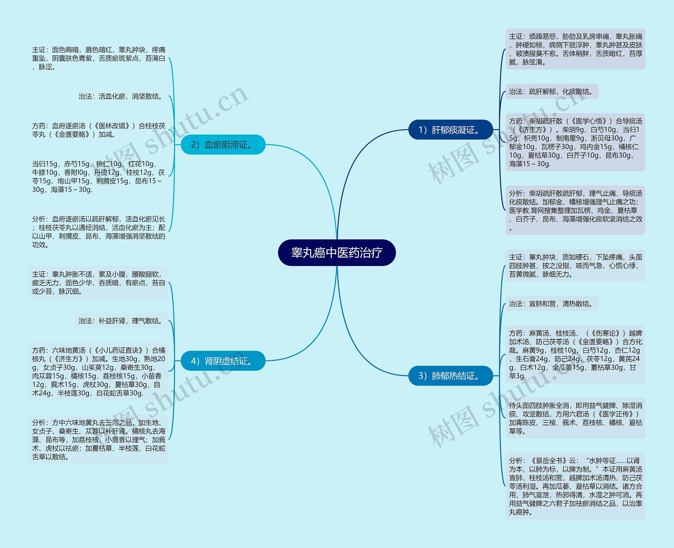 睾丸癌中医药治疗 睾丸癌中医药治疗