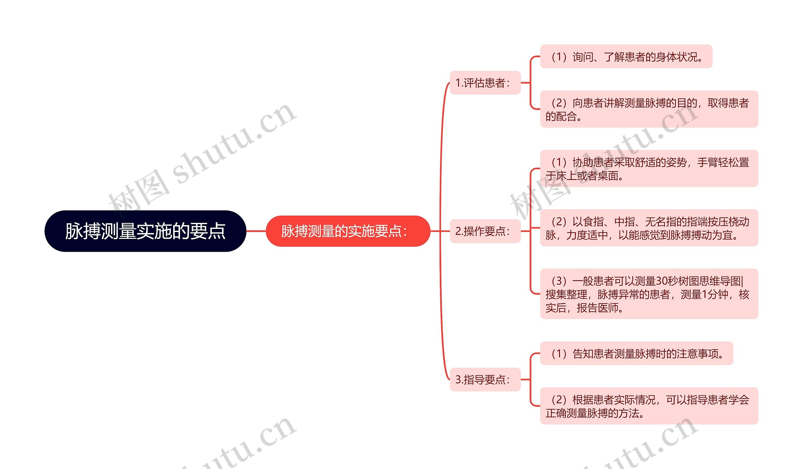 脉搏测量实施的要点 脉搏测量实施的要点