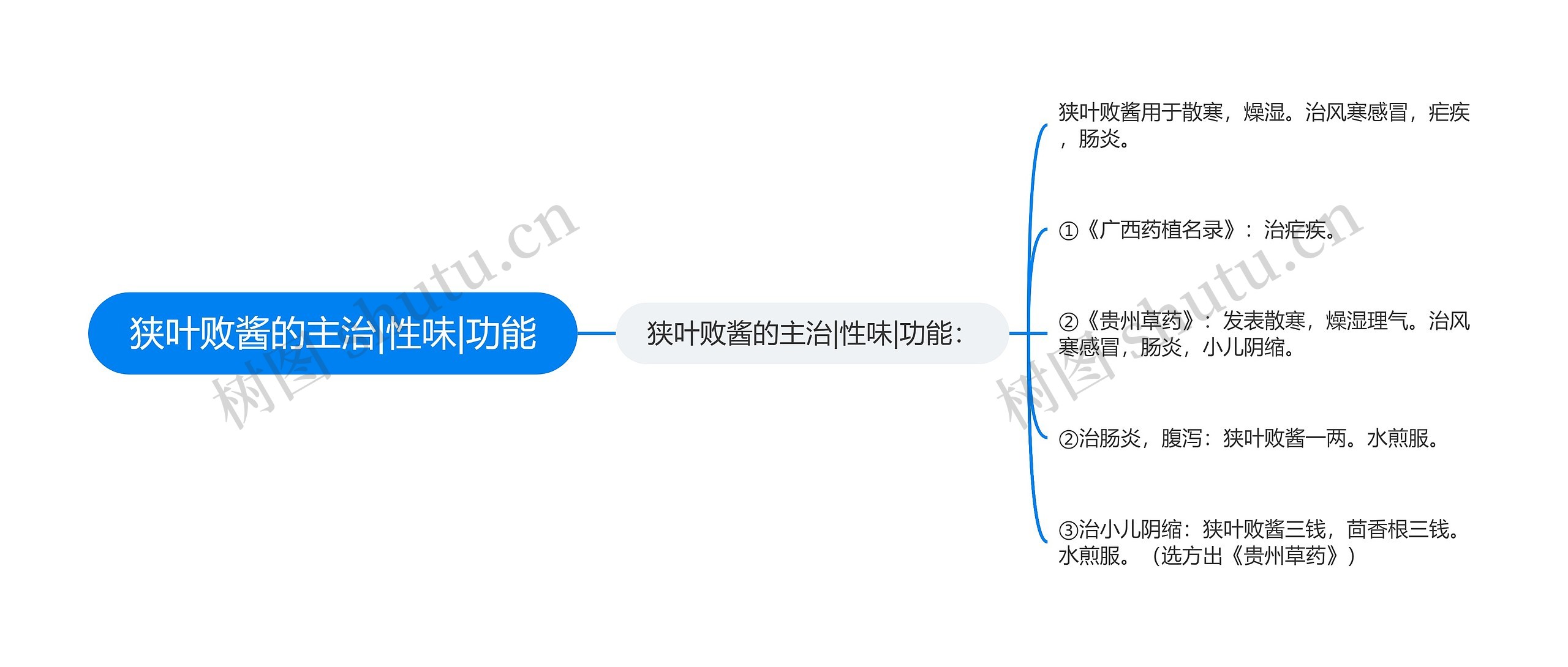 狭叶败酱的主治|性味|功能思维导图