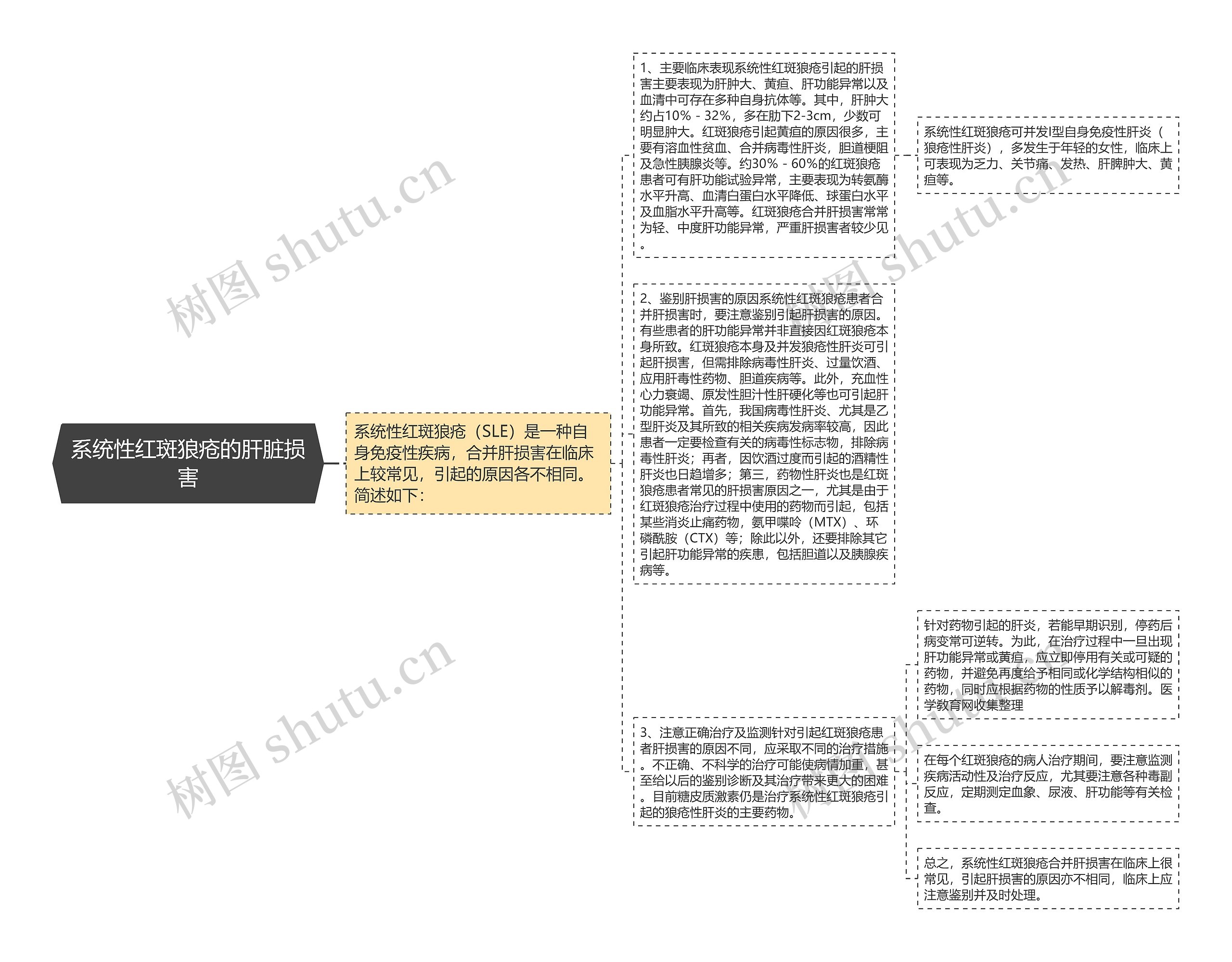 系统性红斑狼疮的肝脏损害