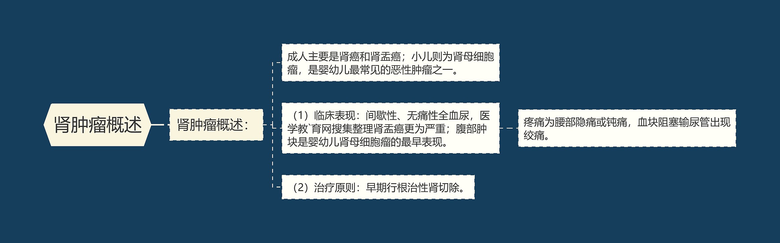 肾肿瘤概述 肾肿瘤概述