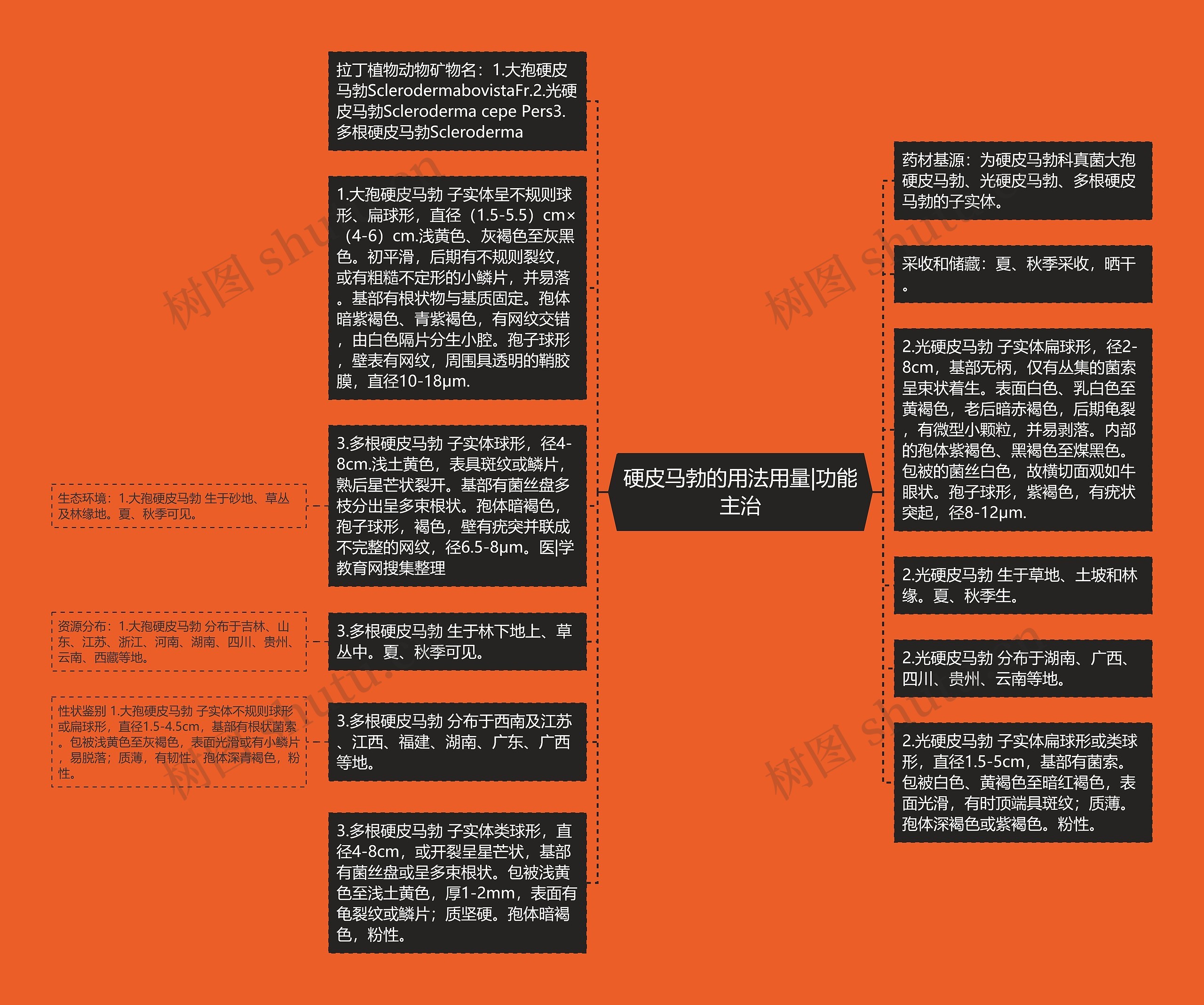 硬皮马勃的用法用量|功能主治