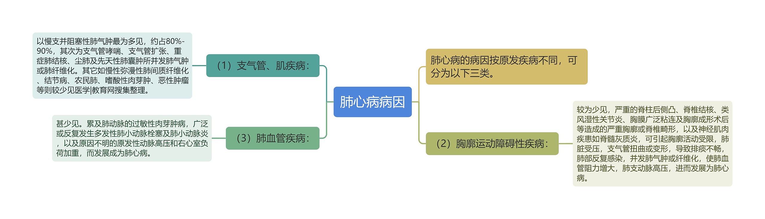 肺心病病因思维导图