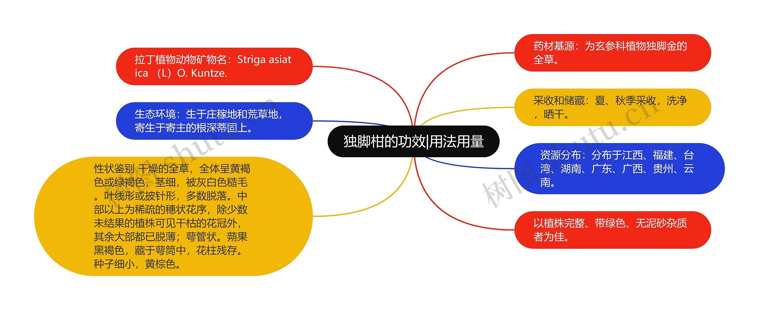 独脚柑的功效|用法用量思维导图