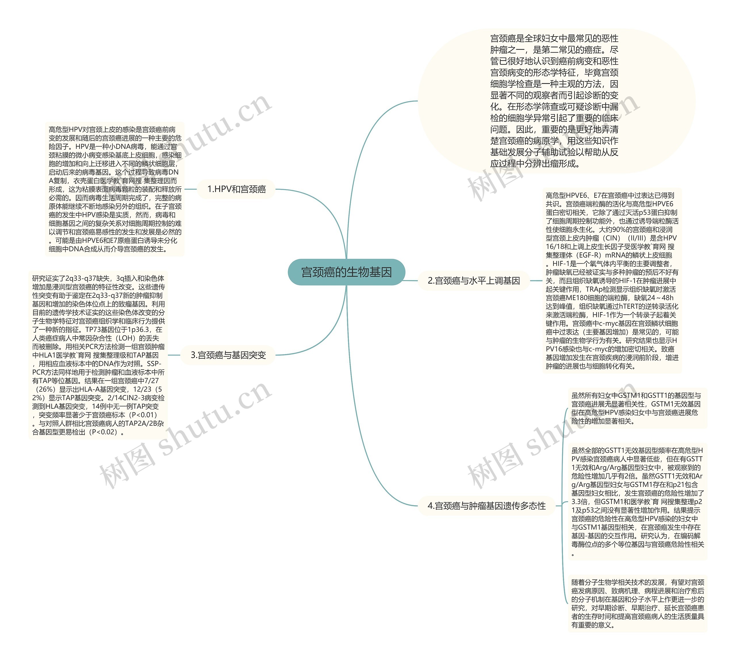 宫颈癌的生物基因思维导图