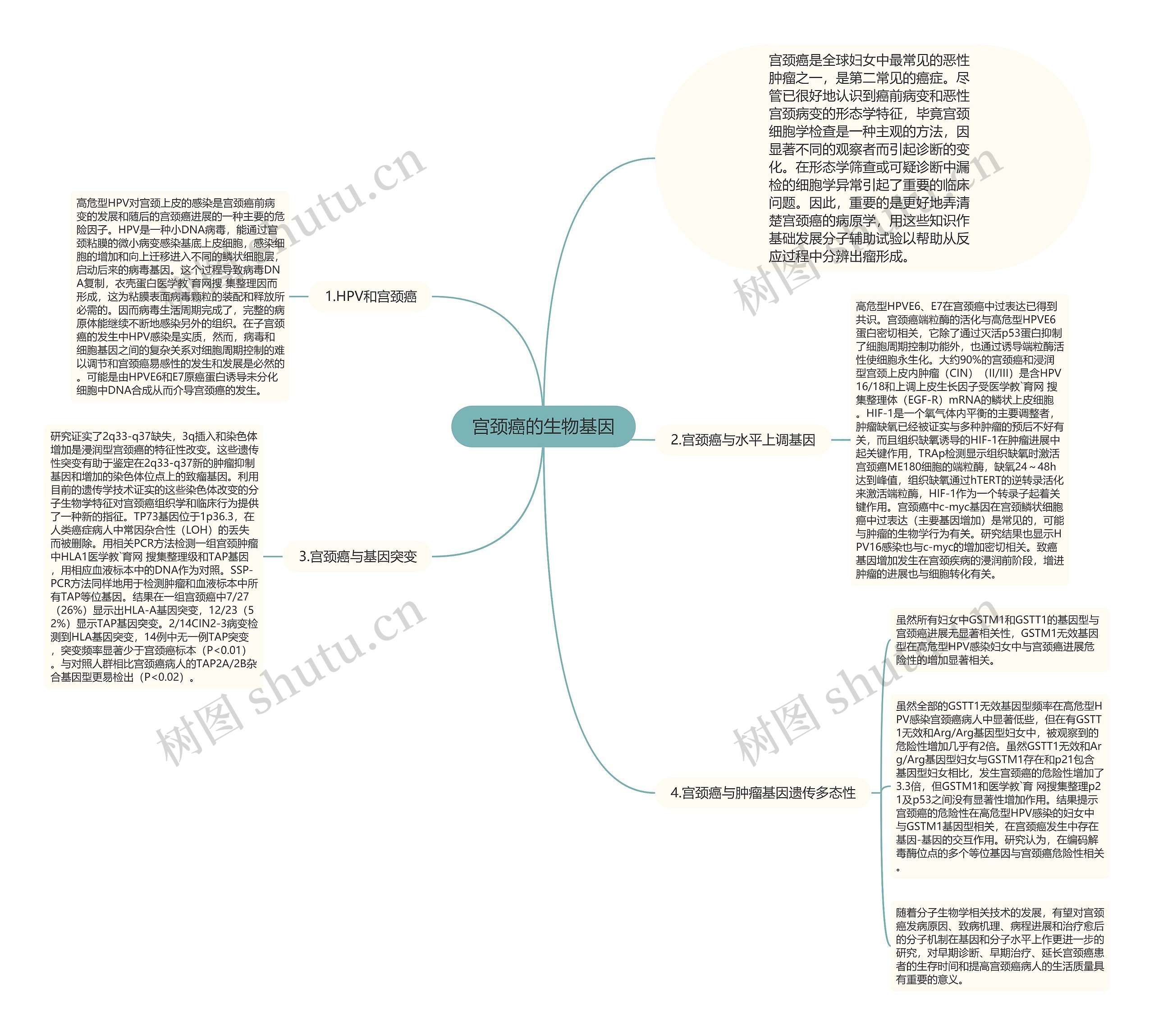 宫颈癌的生物基因 宫颈癌的生物基因