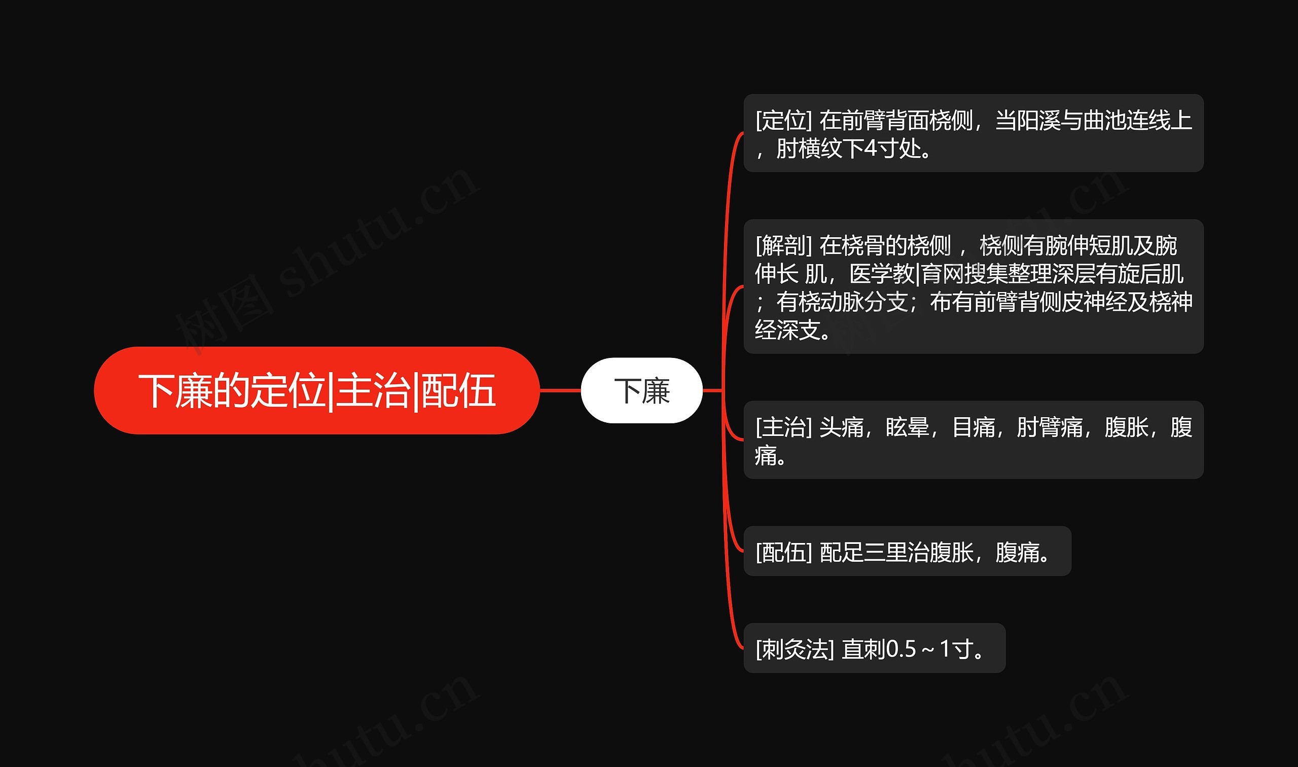 下廉的定位|主治|配伍思维导图