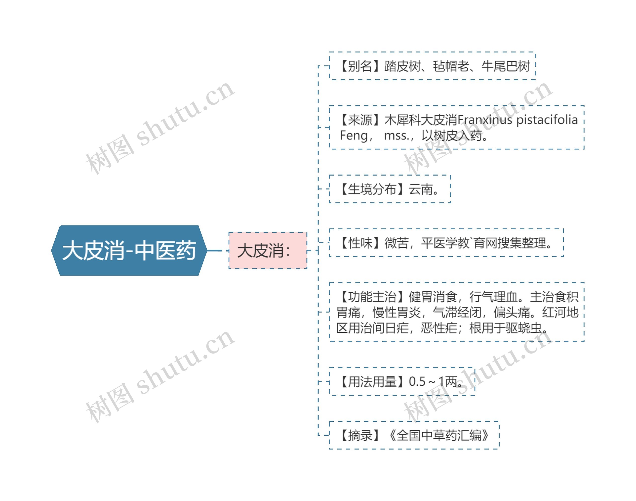 大皮消-中医药思维导图