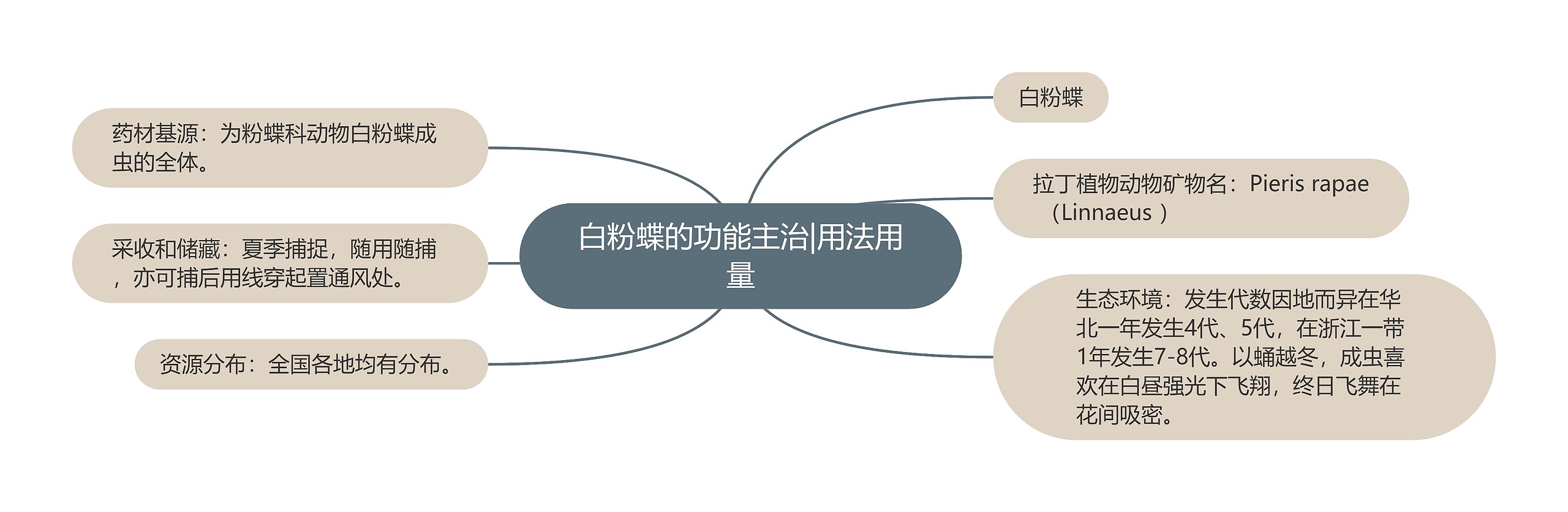 白粉蝶的功能主治|用法用量思维导图