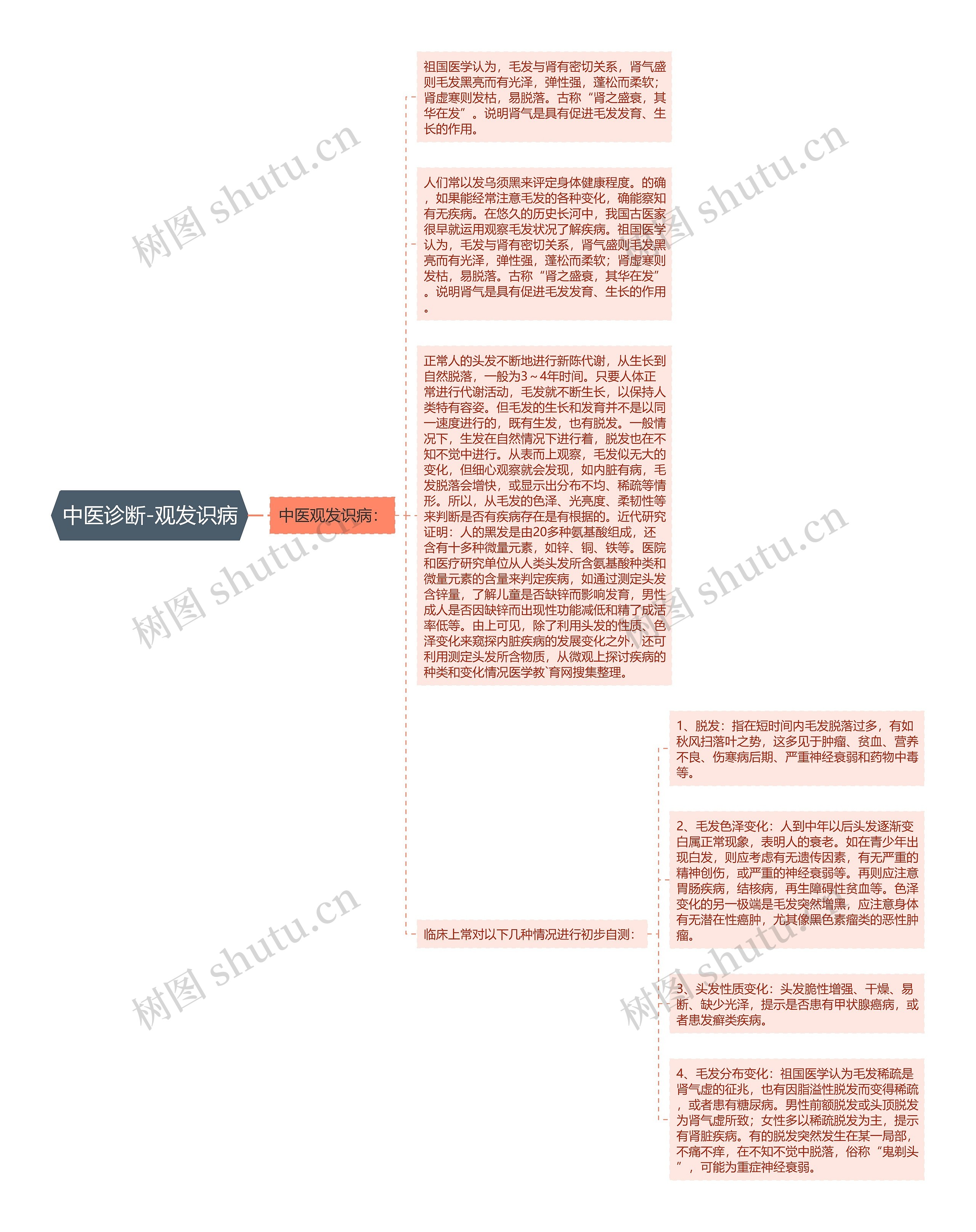 中医诊断-观发识病思维导图