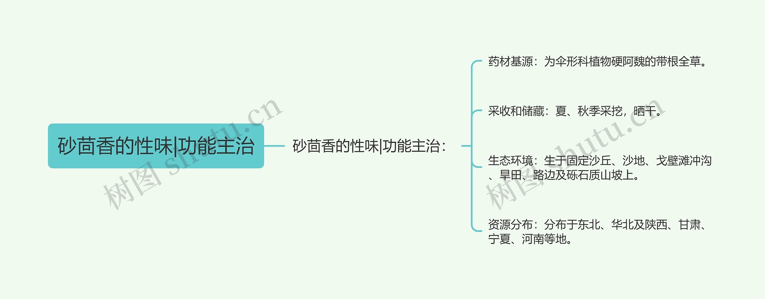 砂茴香的性味|功能主治思维导图