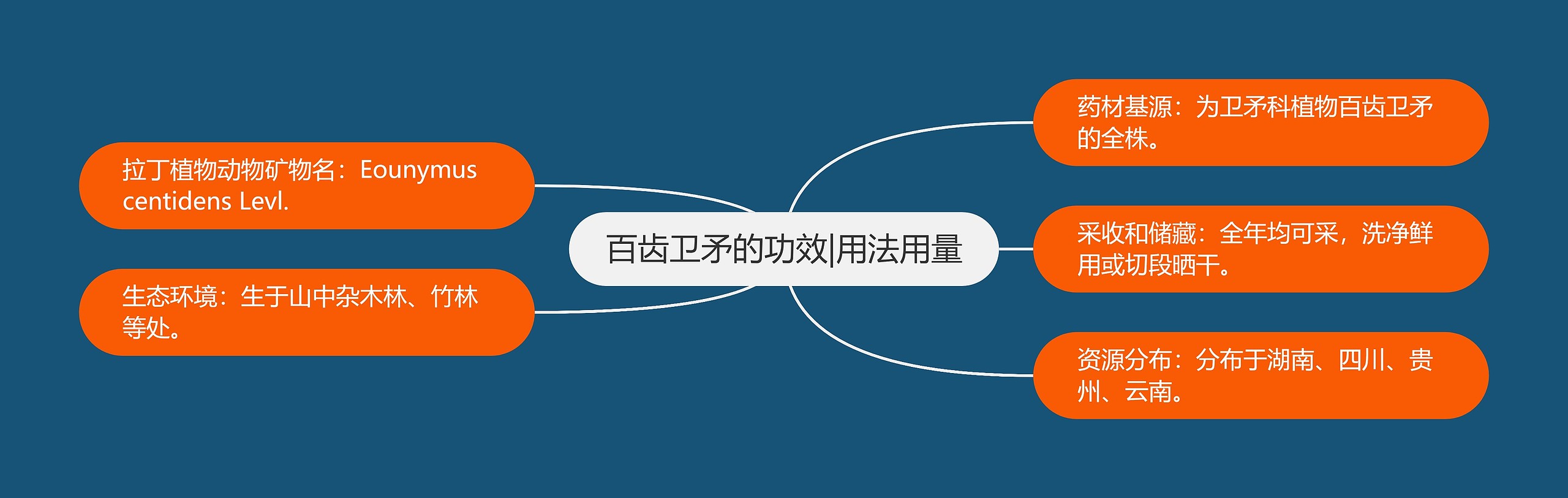 百齿卫矛的功效|用法用量 百齿卫矛的功效|用法用量