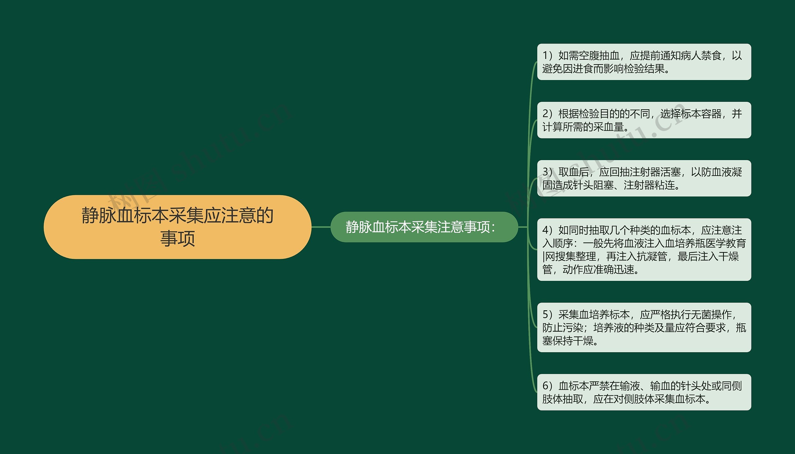 静脉血标本采集应注意的事项 静脉血标本采集应注意的事项