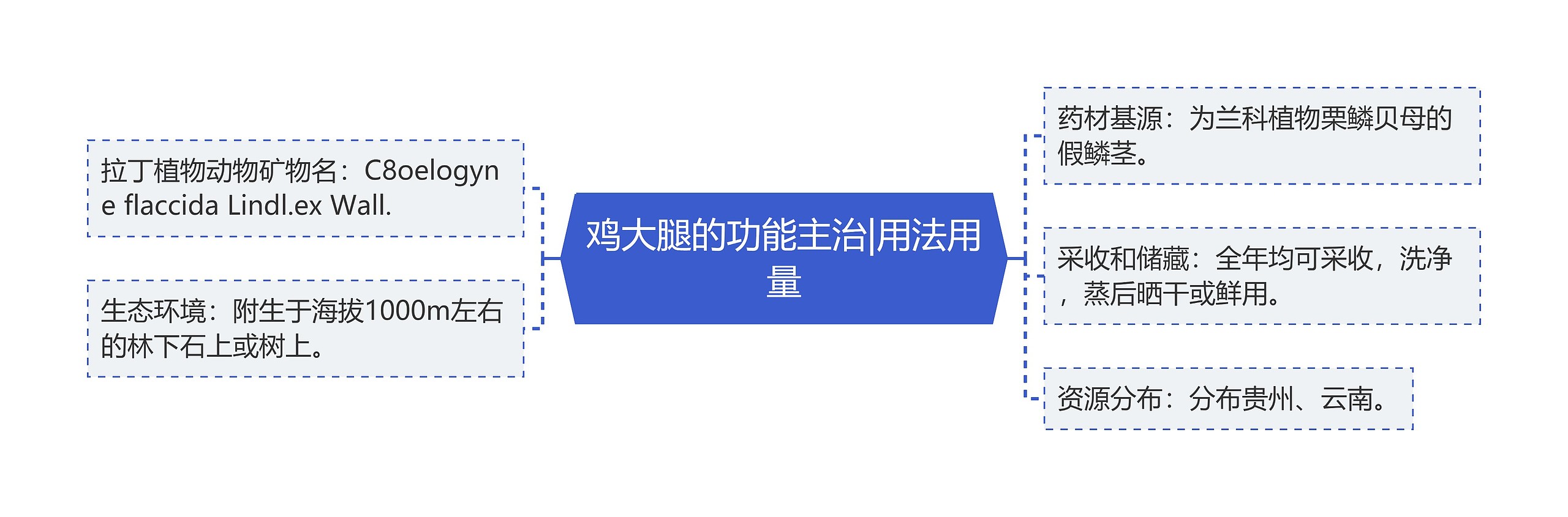 鸡大腿的功能主治|用法用量 鸡大腿的功能主治|用法用量