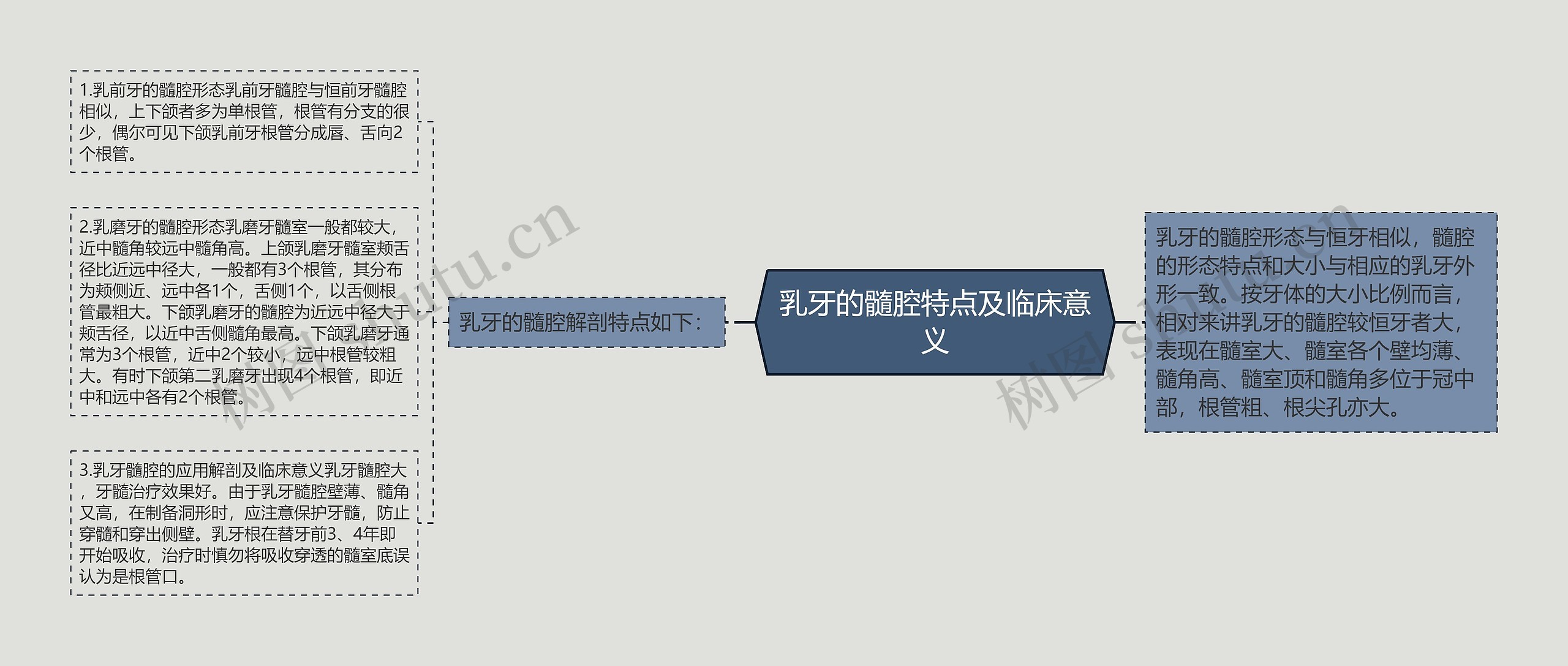 乳牙的髓腔特点及临床意义