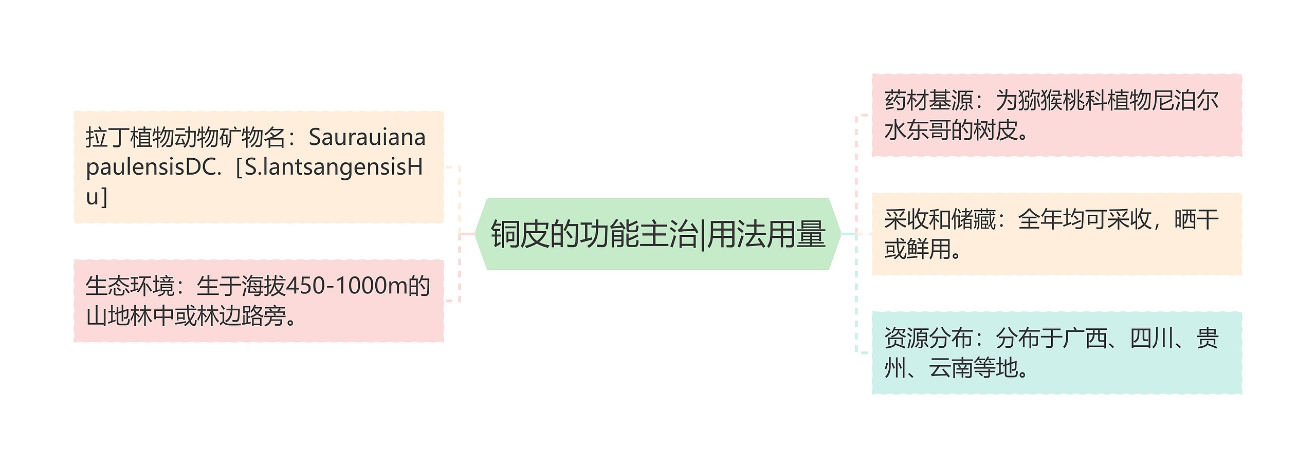 铜皮的功能主治|用法用量思维导图