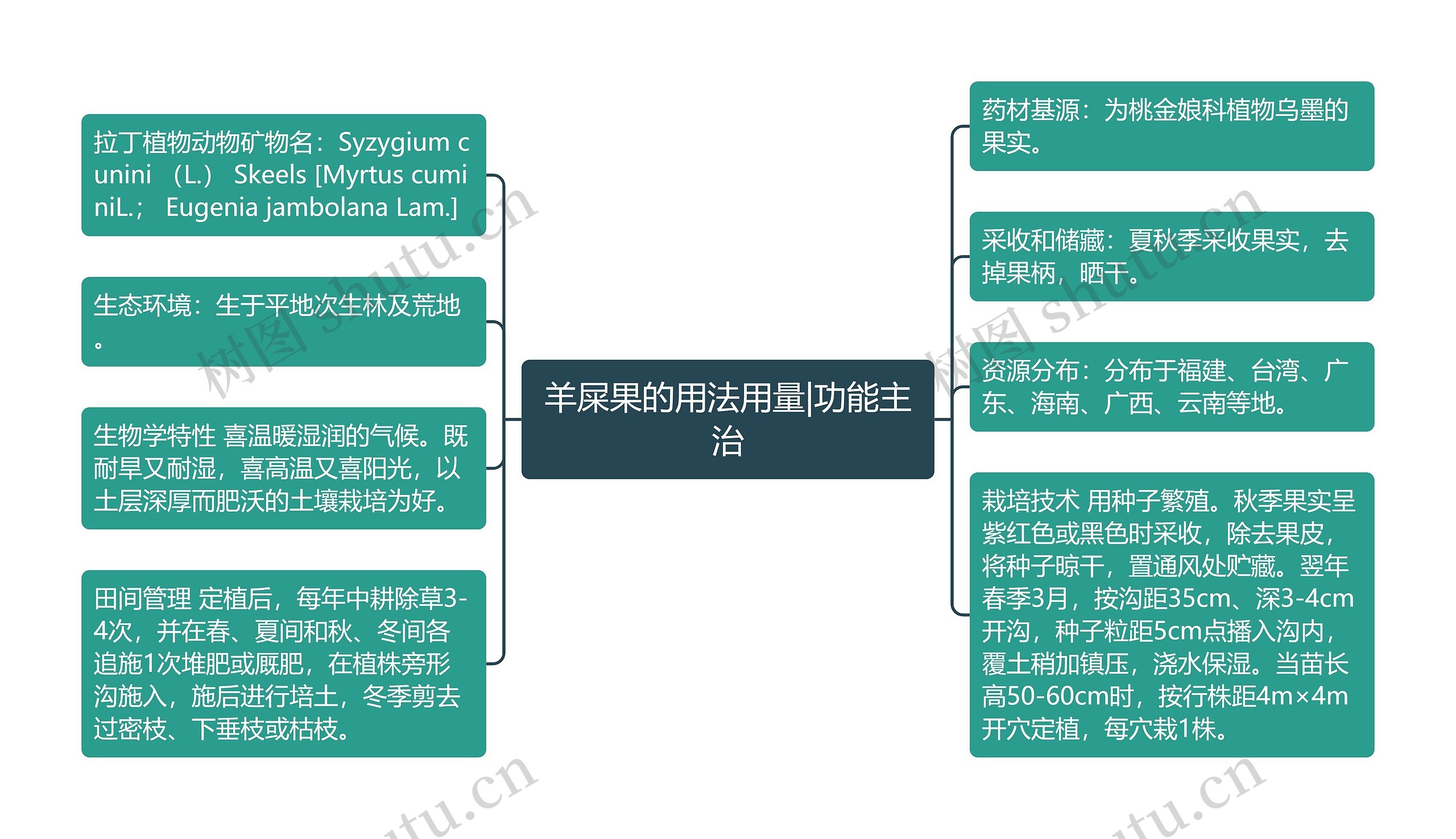 羊屎果的用法用量|功能主治