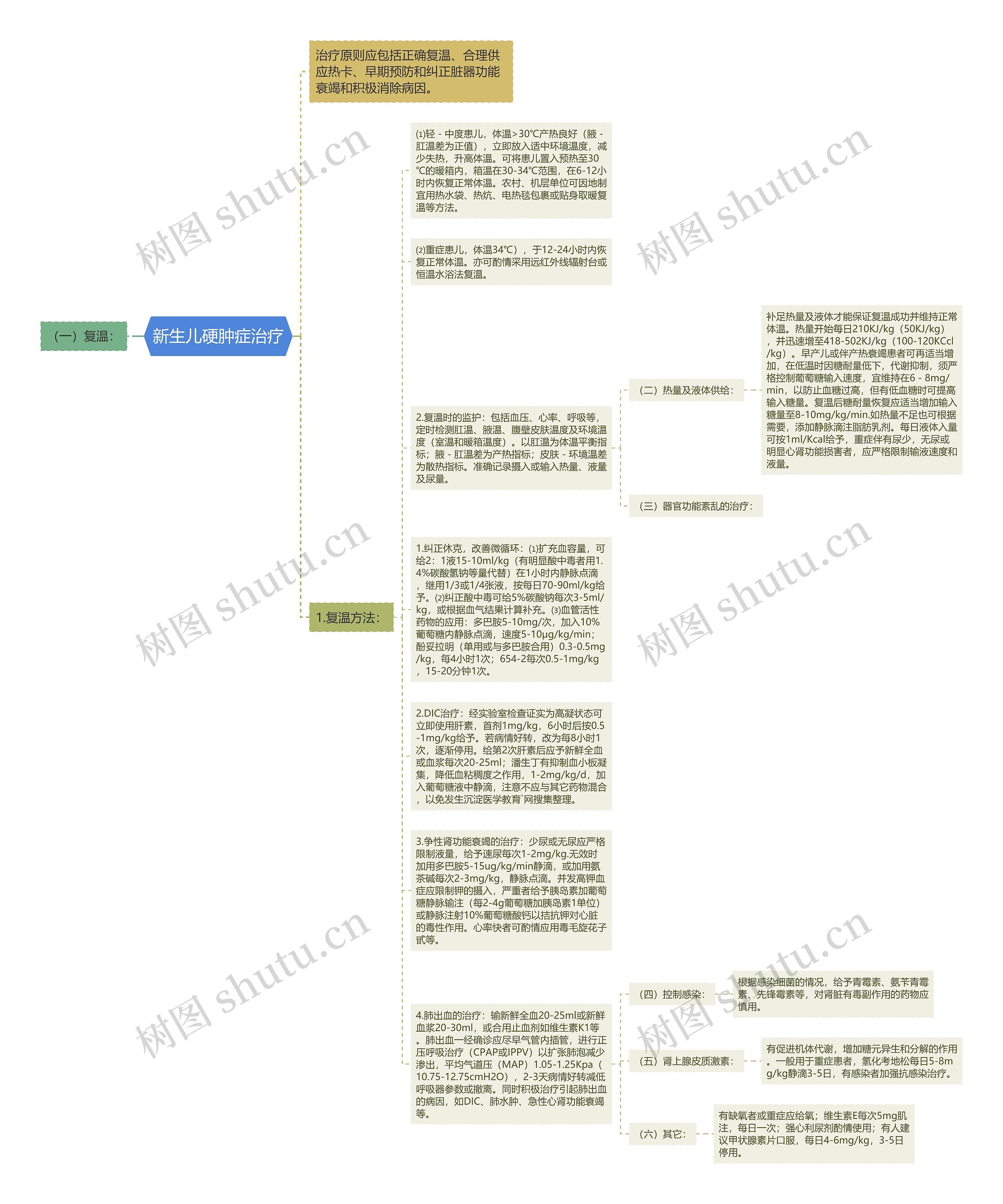 新生儿硬肿症治疗思维导图