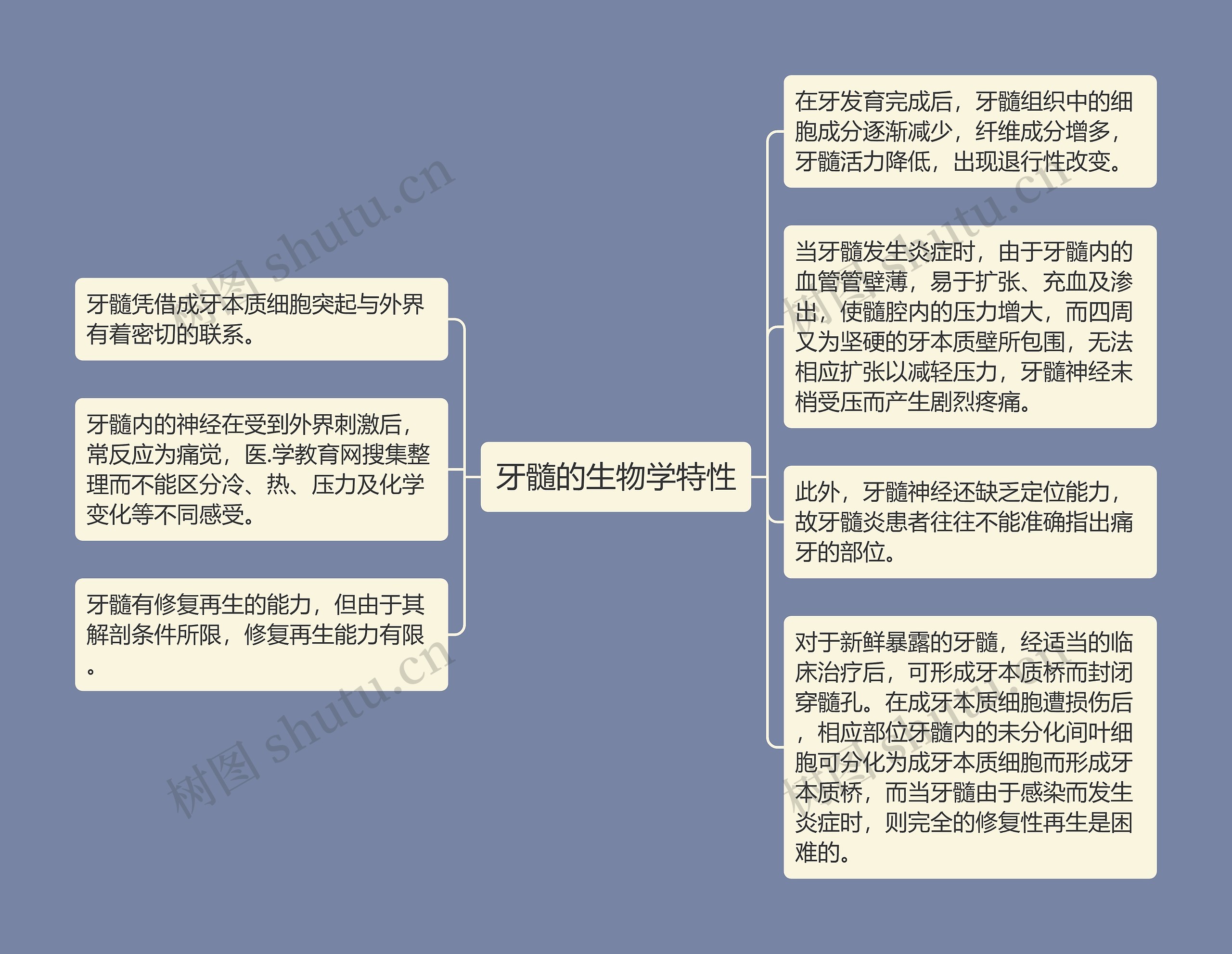 牙髓的生物学特性思维导图