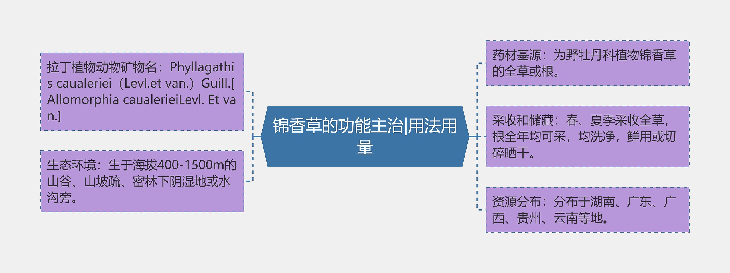 锦香草的功能主治|用法用量思维导图