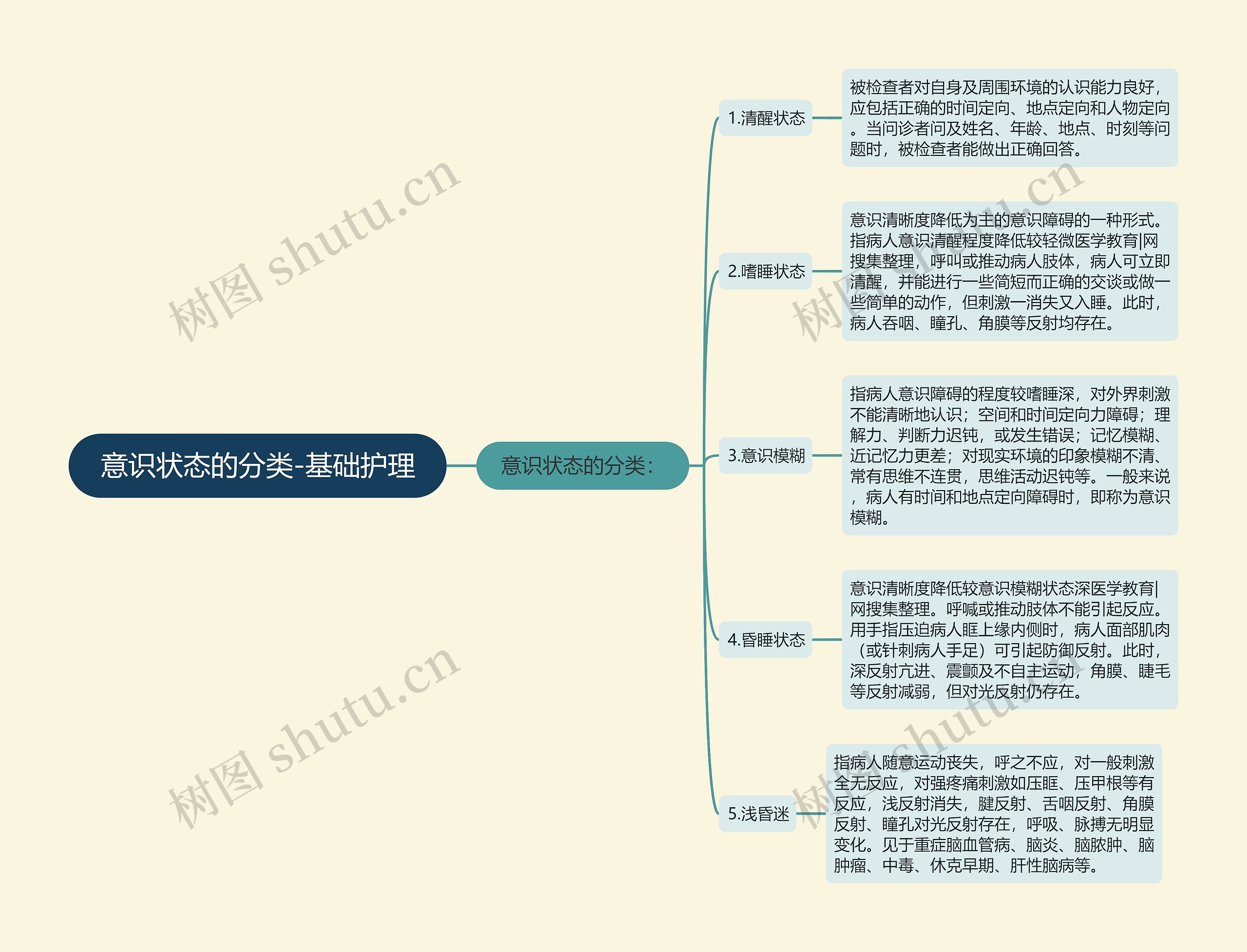 意识状态的分类-基础护理