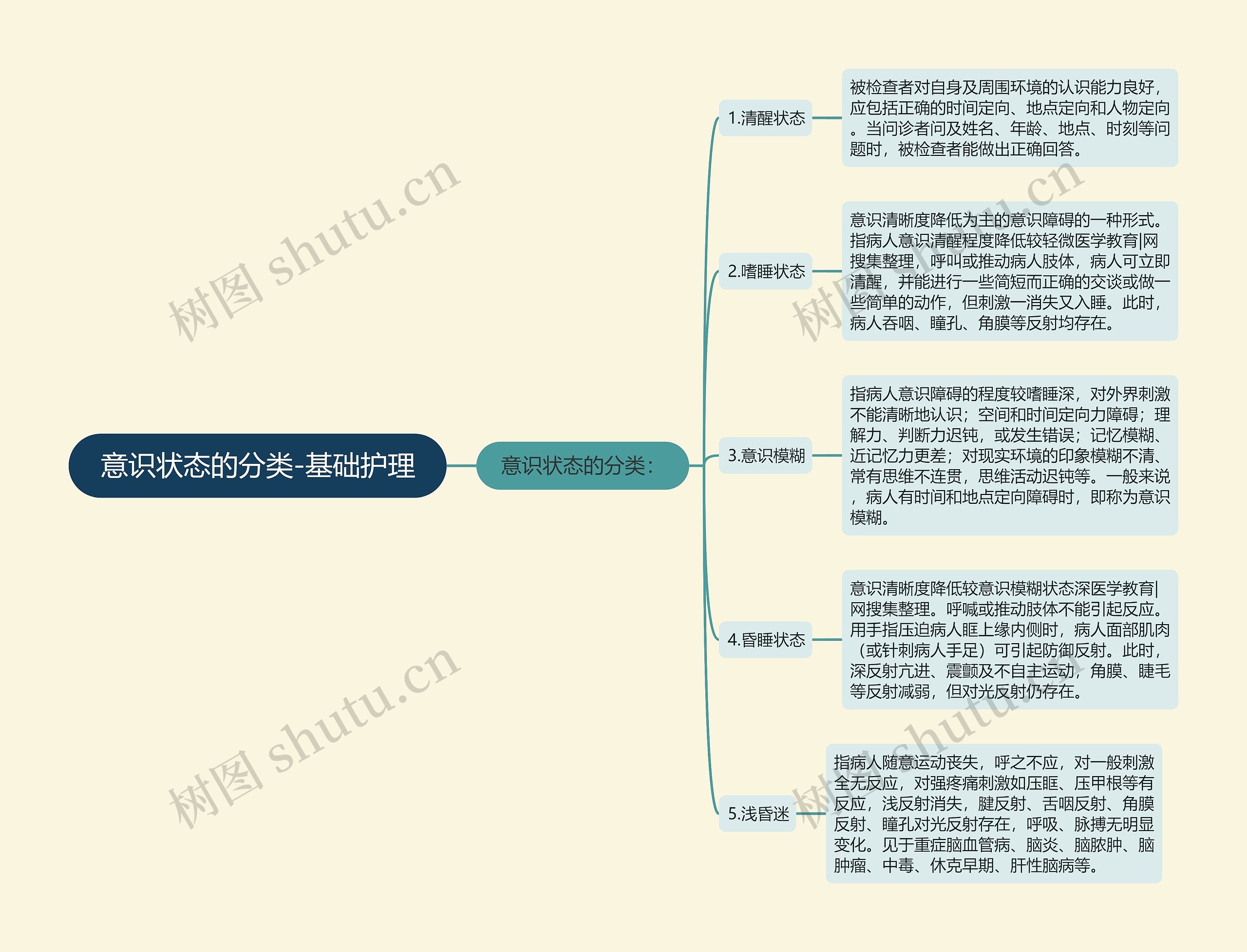 意识状态的分类-基础护理 意识状态的分类-基础护理