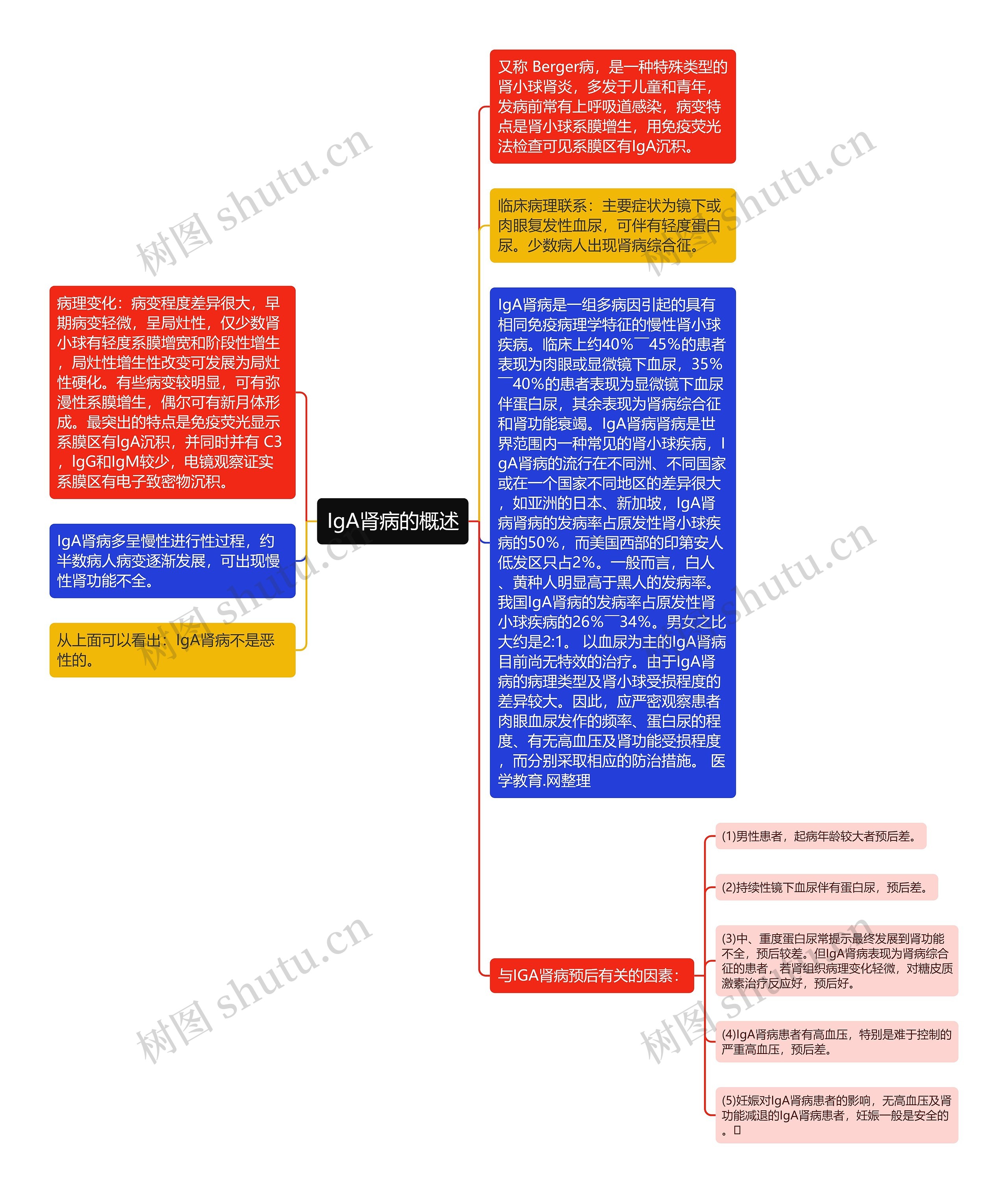 IgA肾病的概述思维导图