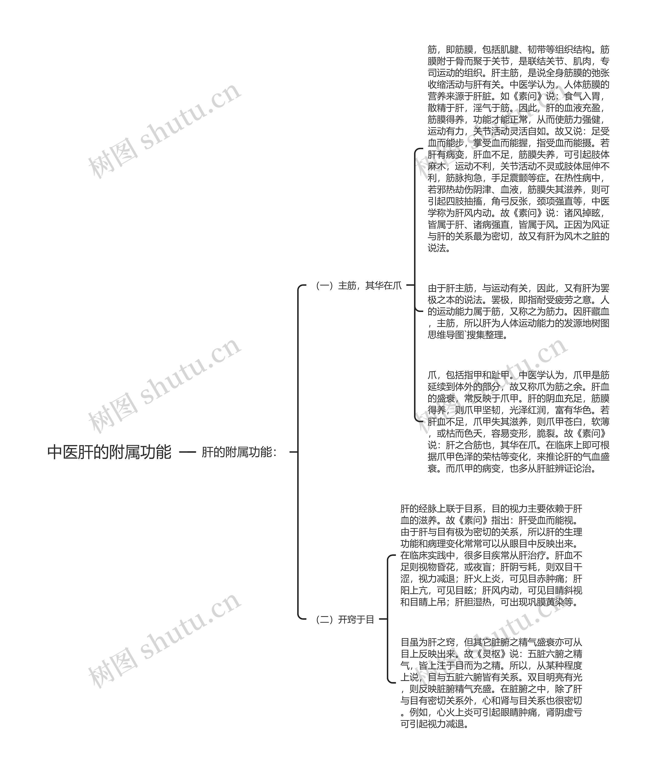 中医肝的附属功能