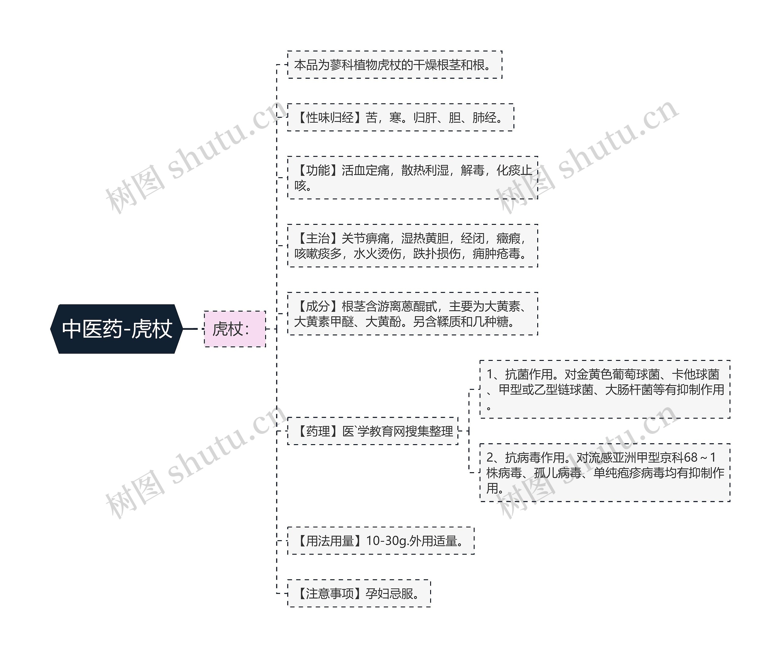 中医药-虎杖思维导图