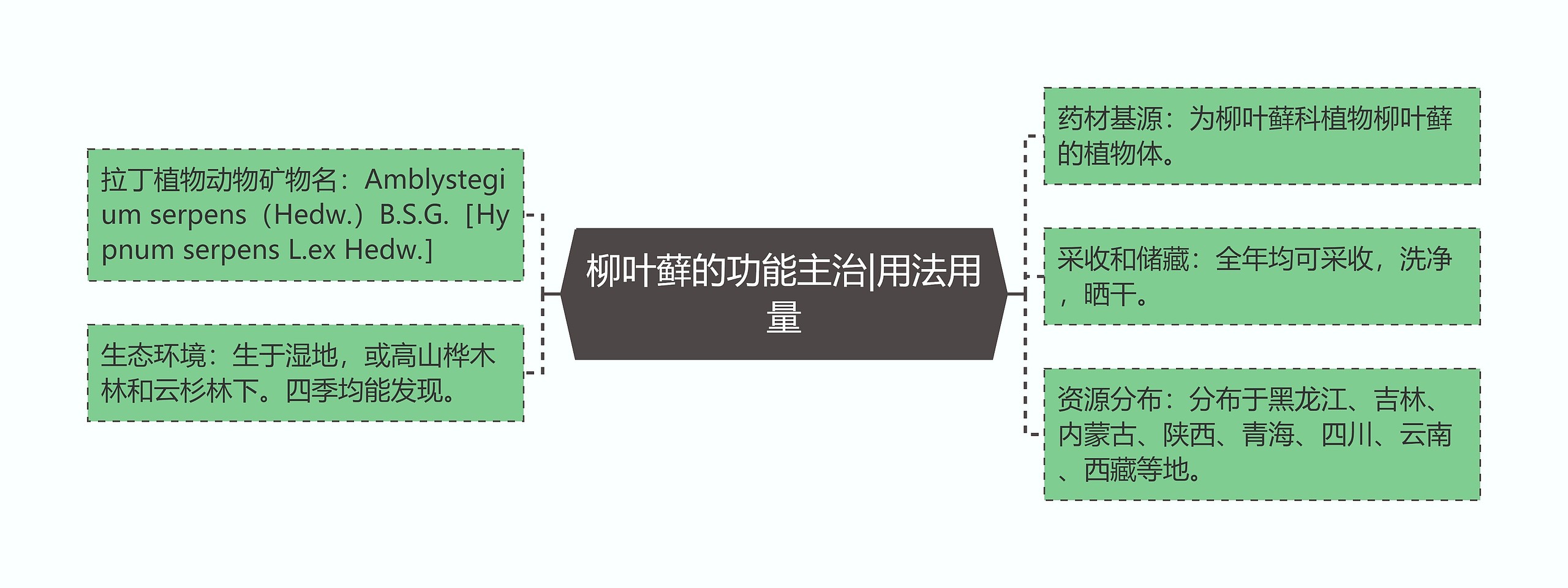 柳叶藓的功能主治|用法用量