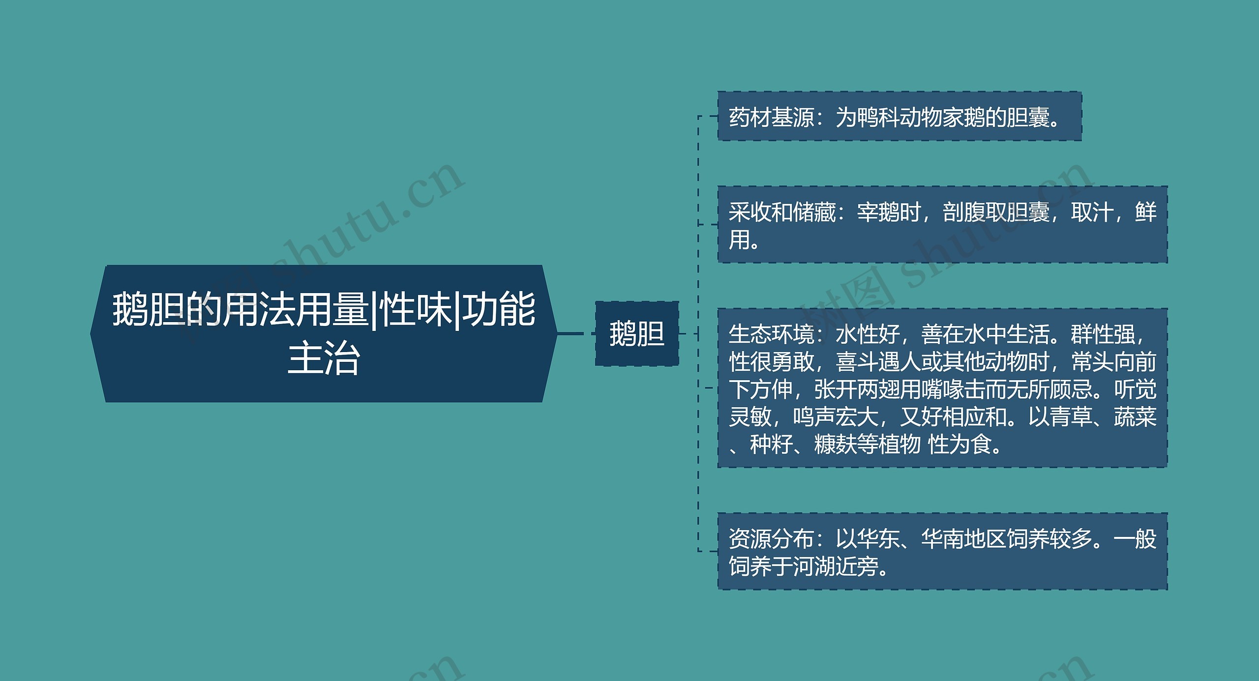 鹅胆的用法用量|性味|功能主治 鹅胆的用法用量|性味|功能主治