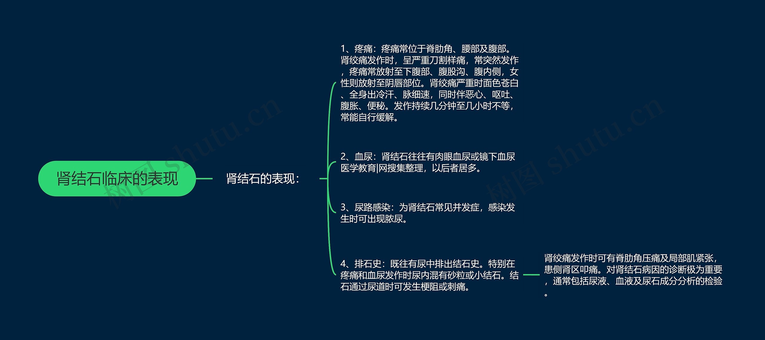 肾结石临床的表现思维导图