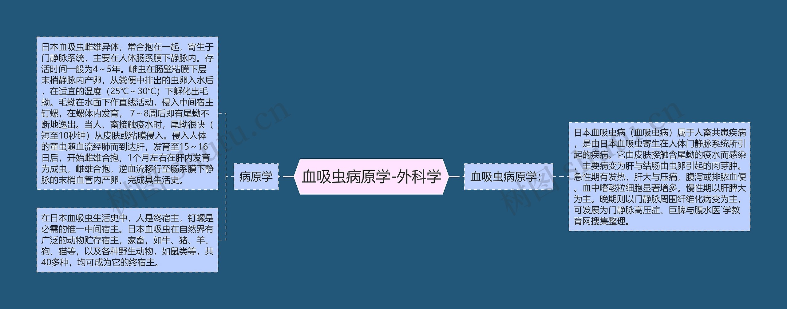 血吸虫病原学-外科学 血吸虫病原学-外科学