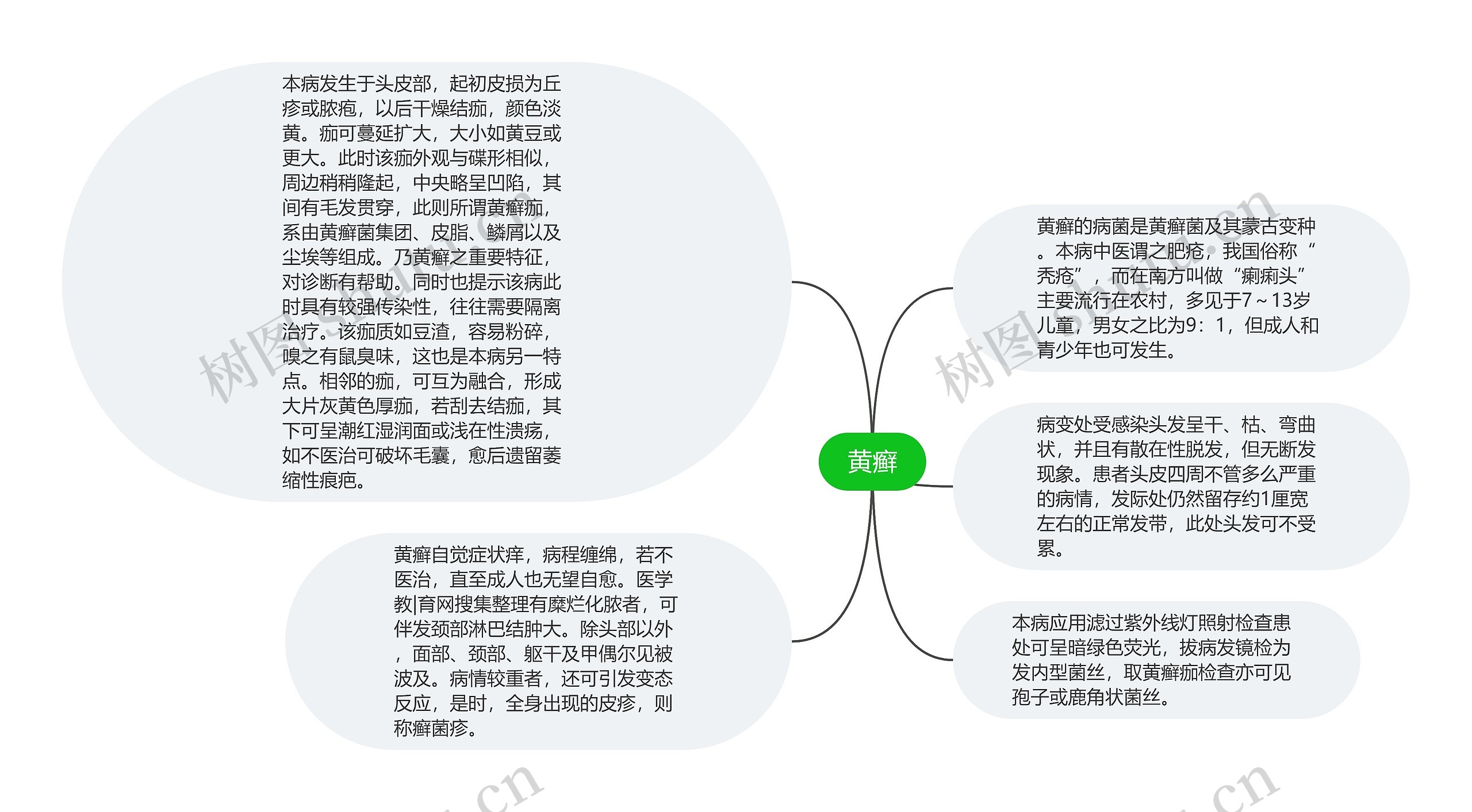 黄癣