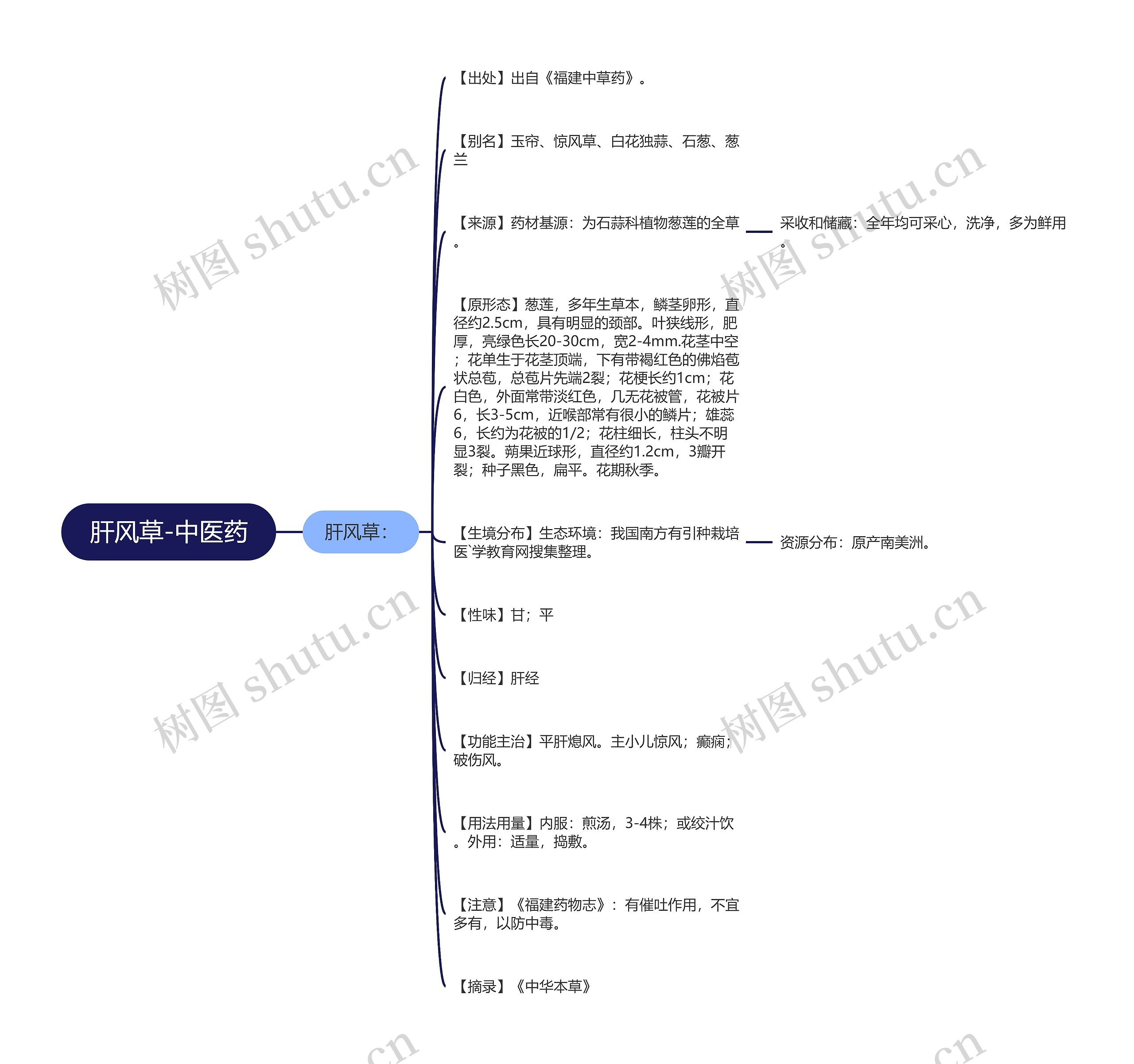 肝风草-中医药思维导图
