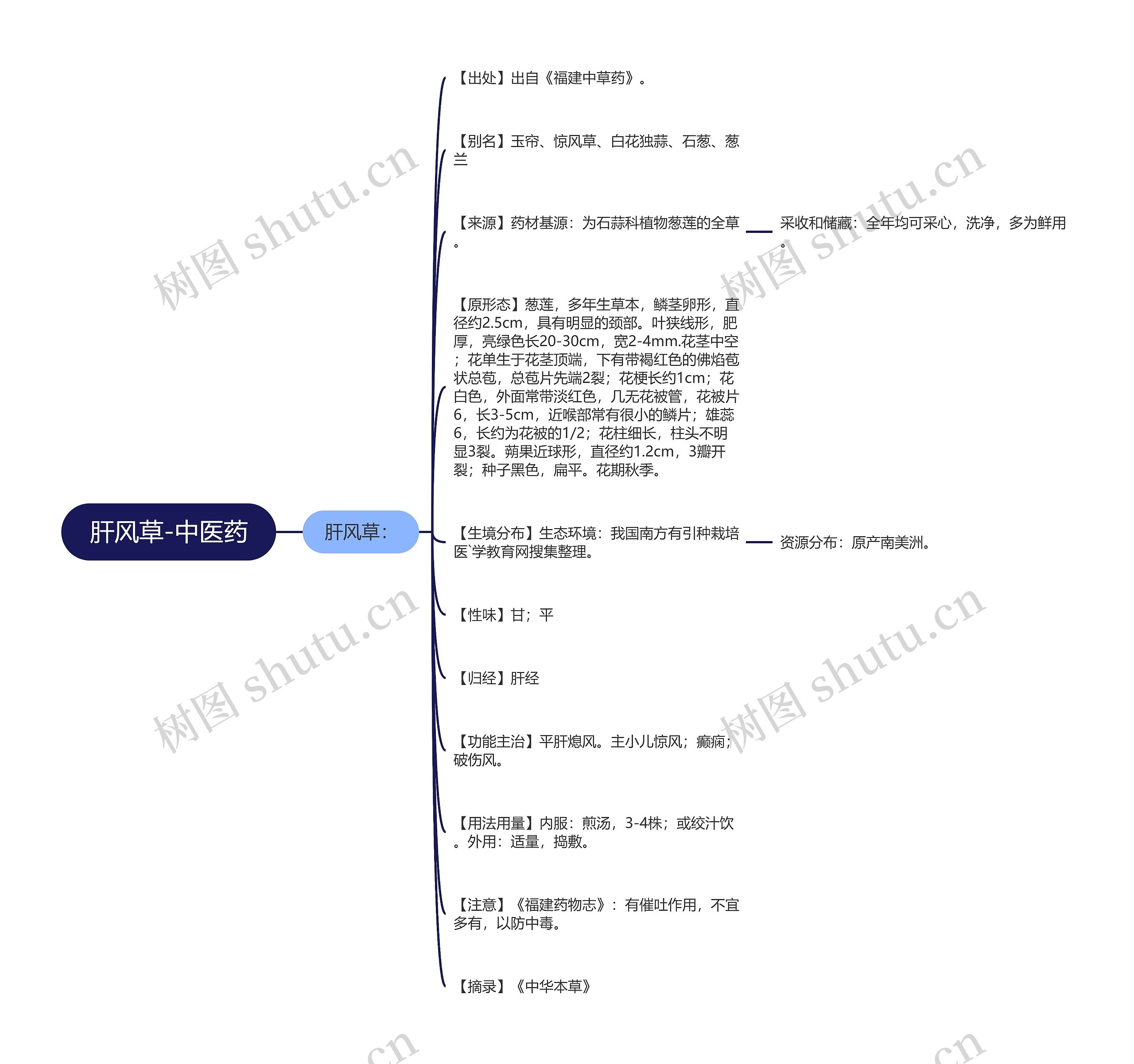 肝风草-中医药 肝风草-中医药