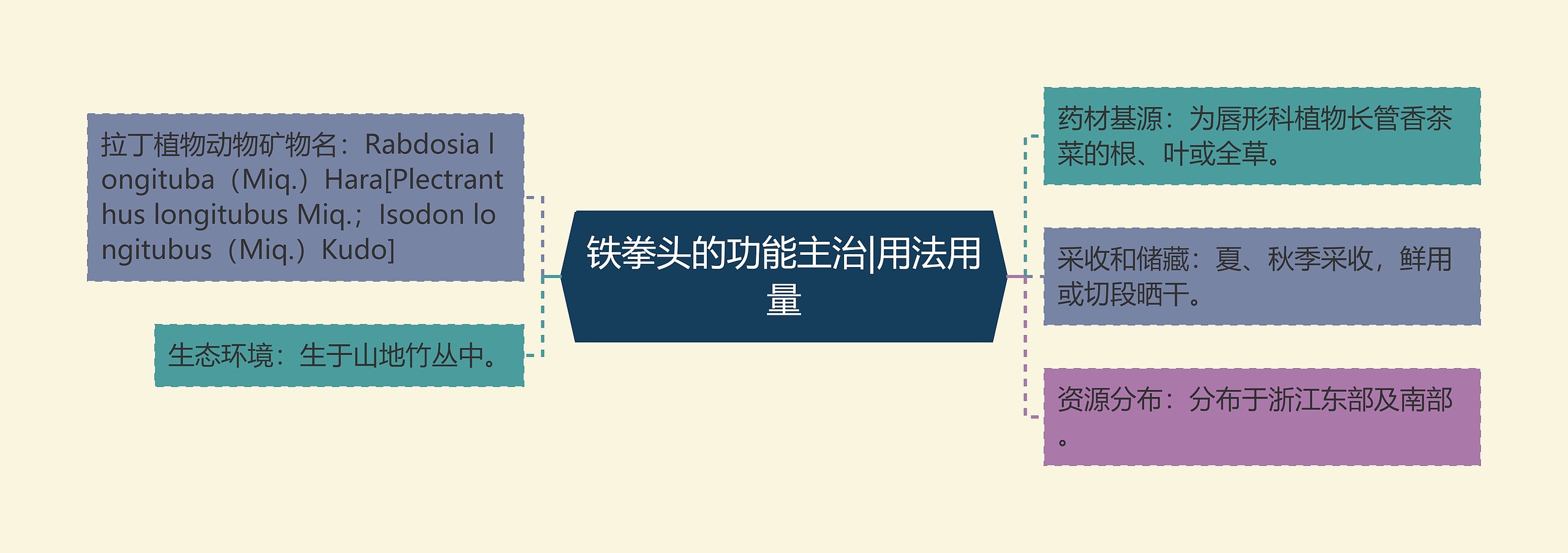 铁拳头的功能主治|用法用量 铁拳头的功能主治|用法用量