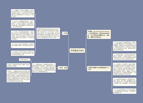 牙周膜组织结构