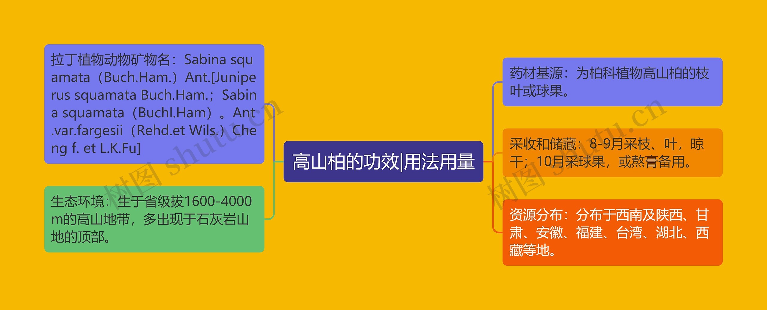 高山柏的功效|用法用量 高山柏的功效|用法用量