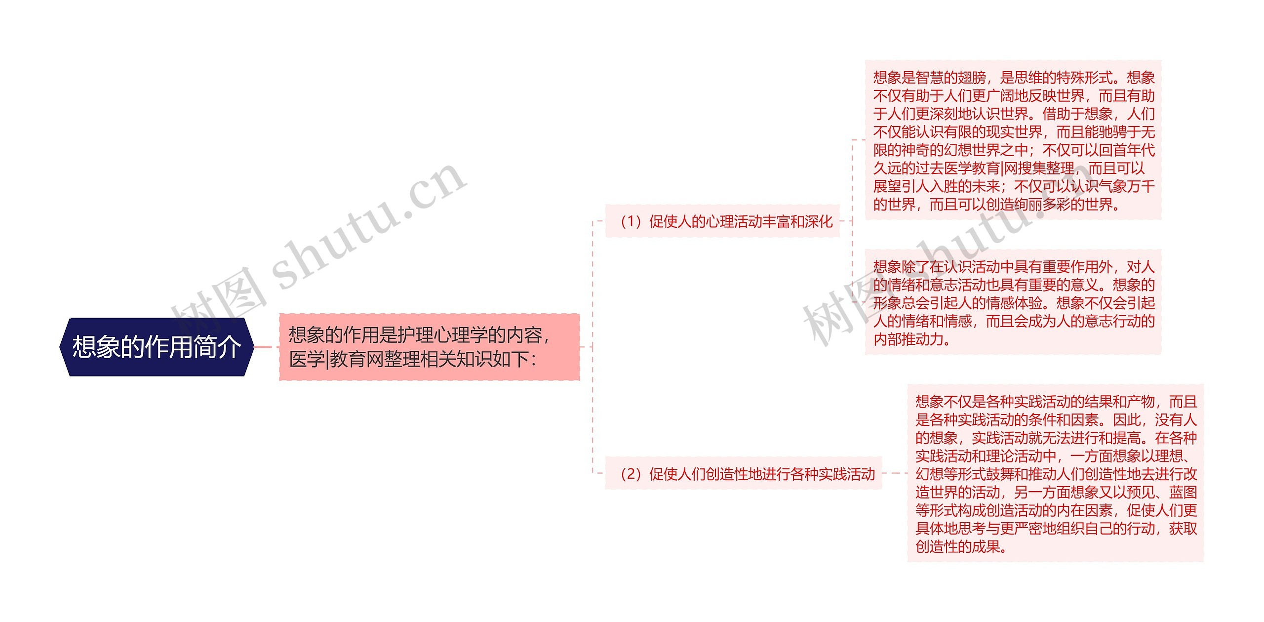 想象的作用简介思维导图