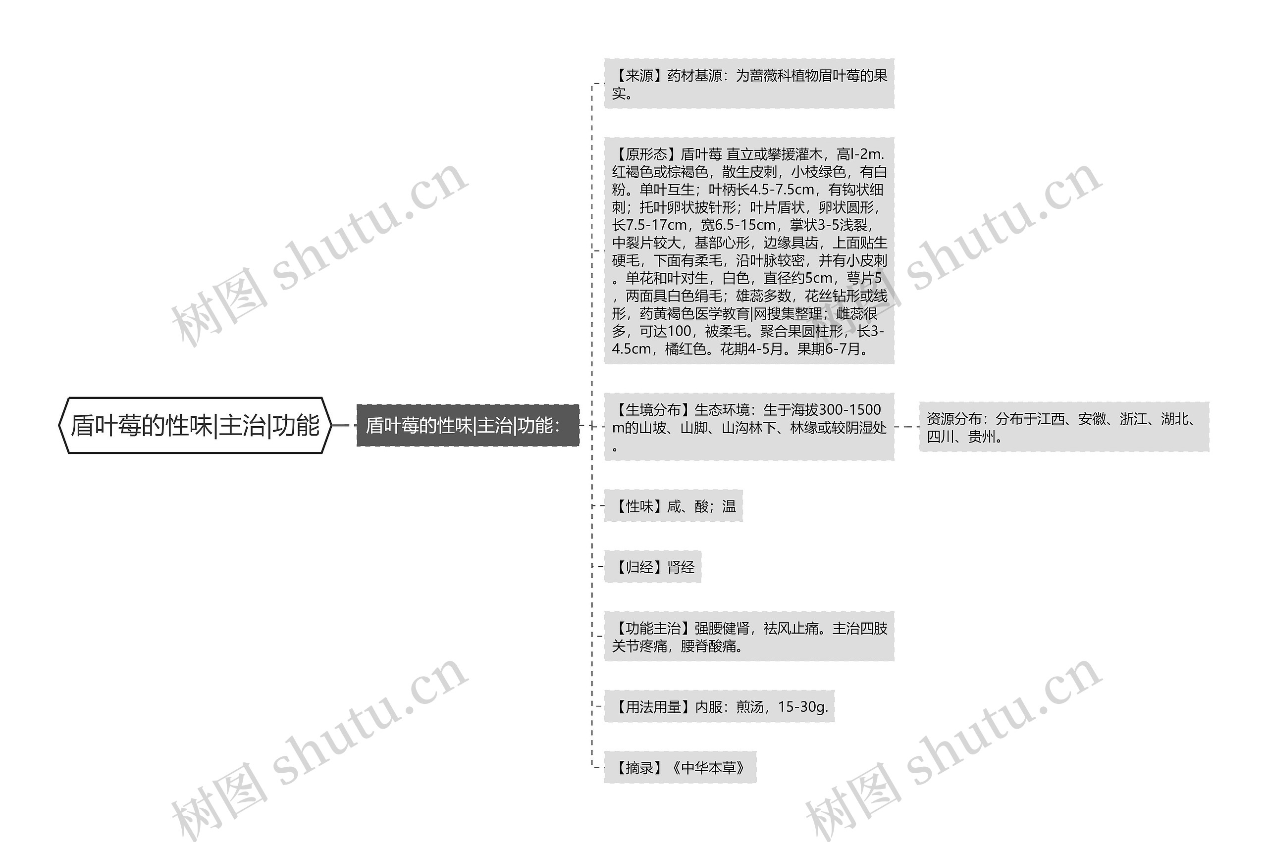 盾叶莓的性味|主治|功能思维导图